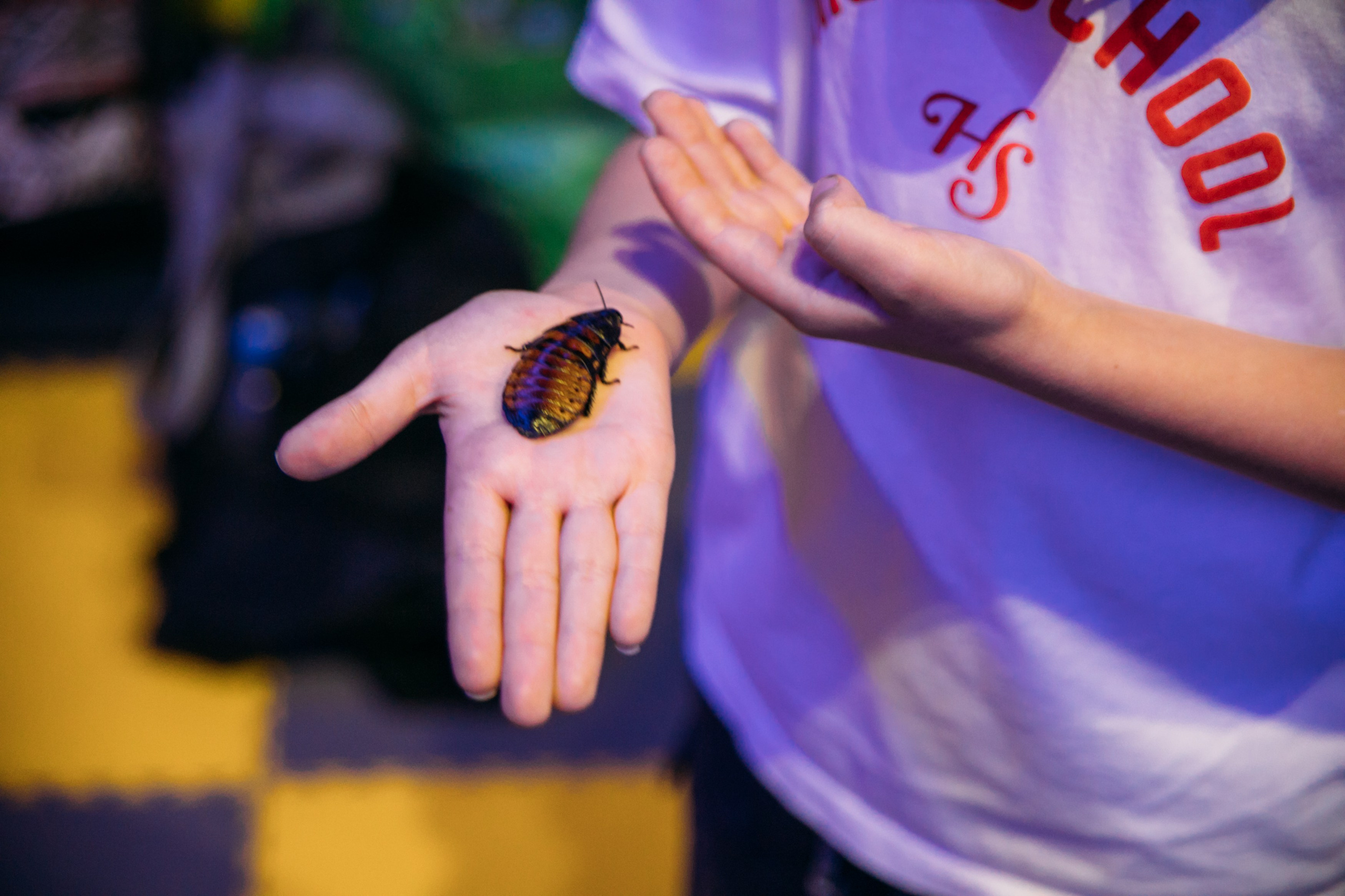 РОМЕ 8 ЛЕТ 🕸️. Фотограф Наташа Румянцева