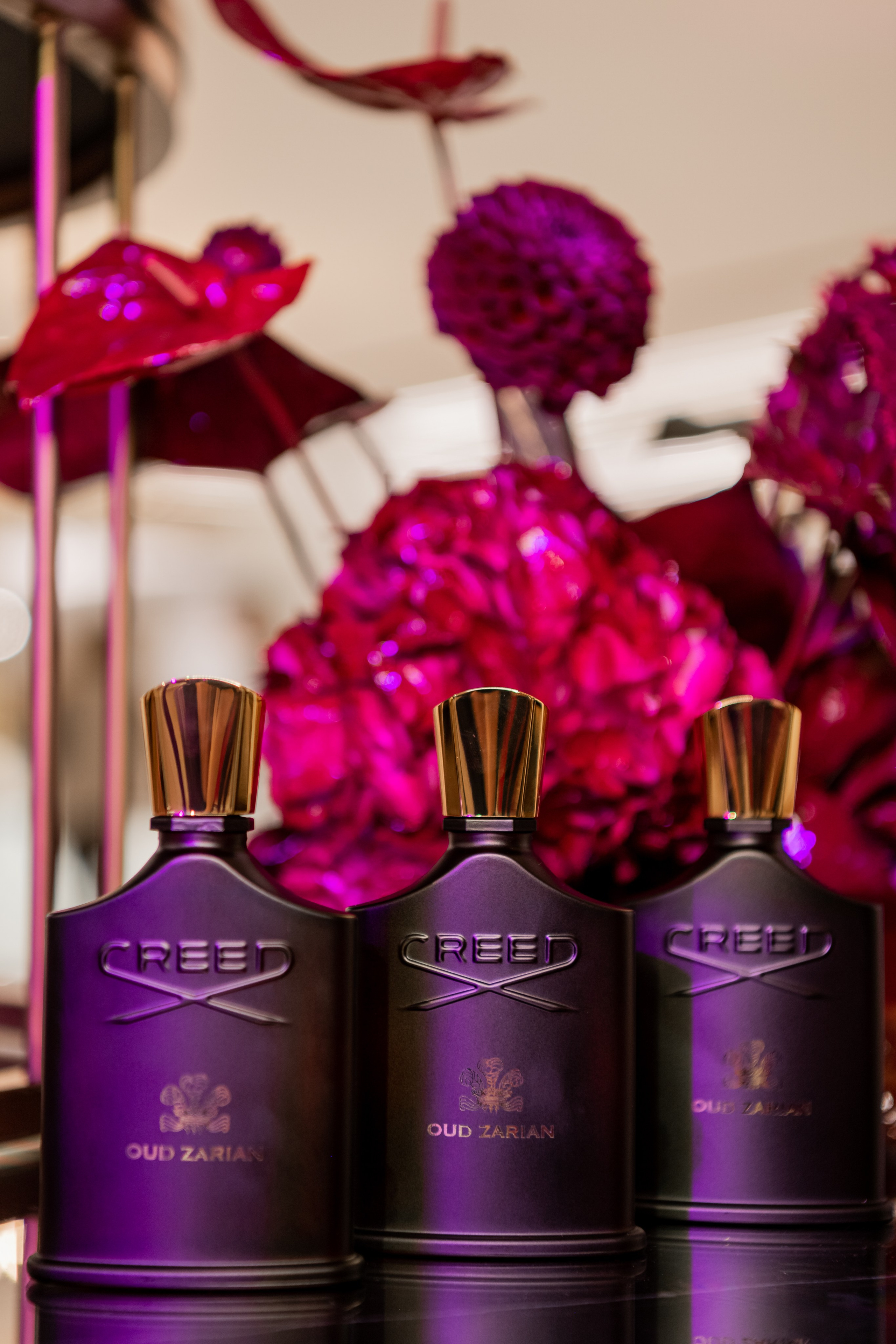 CREED. Фотограф Астана, Алматы