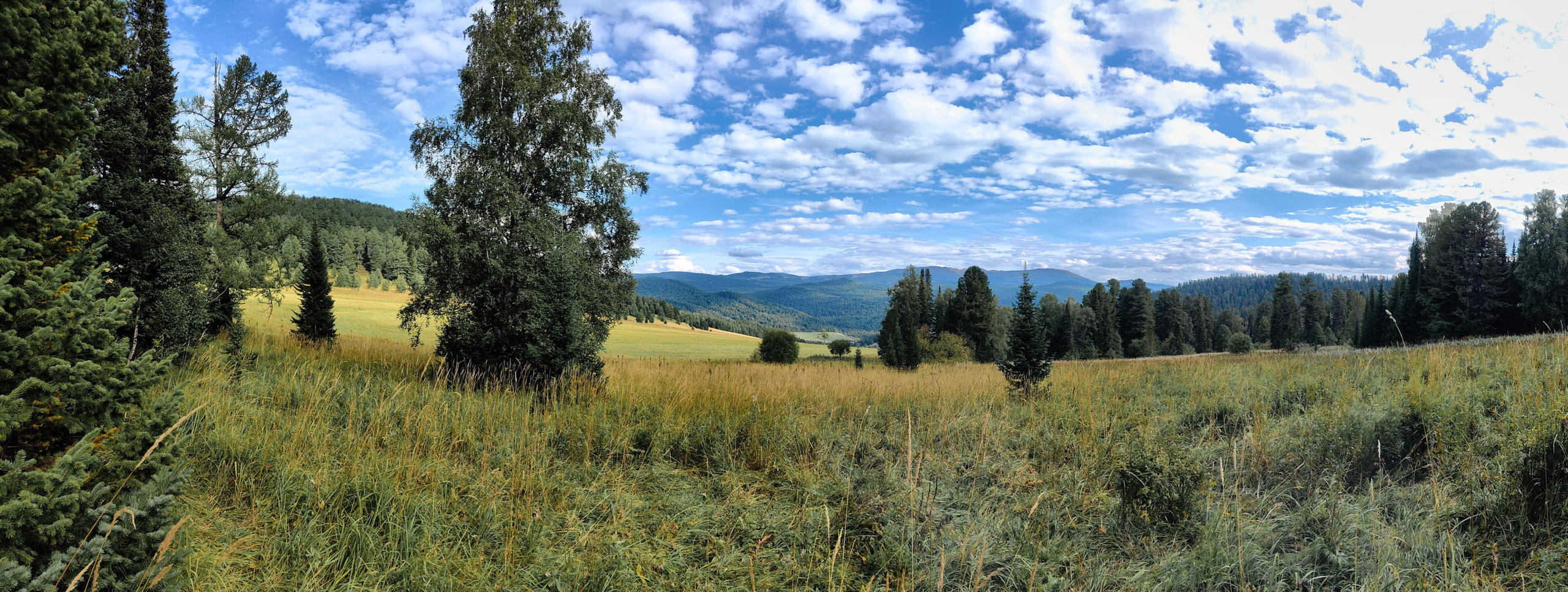 Алтай. Юрий Березнюк. Фотожурналистика