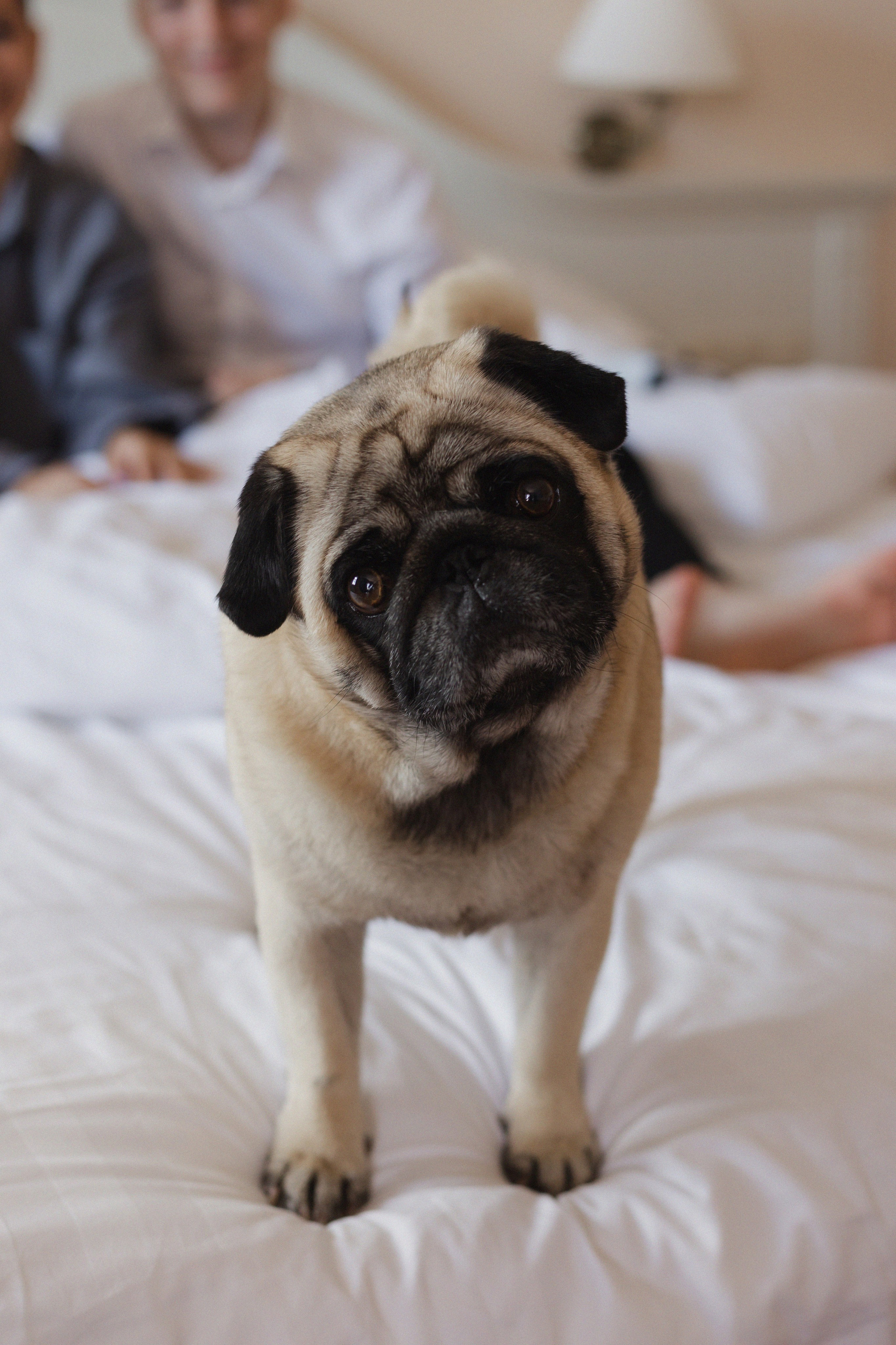 Саша и Женя. Свадебный фотограф в Рязани и Москве Евгения Жмурова