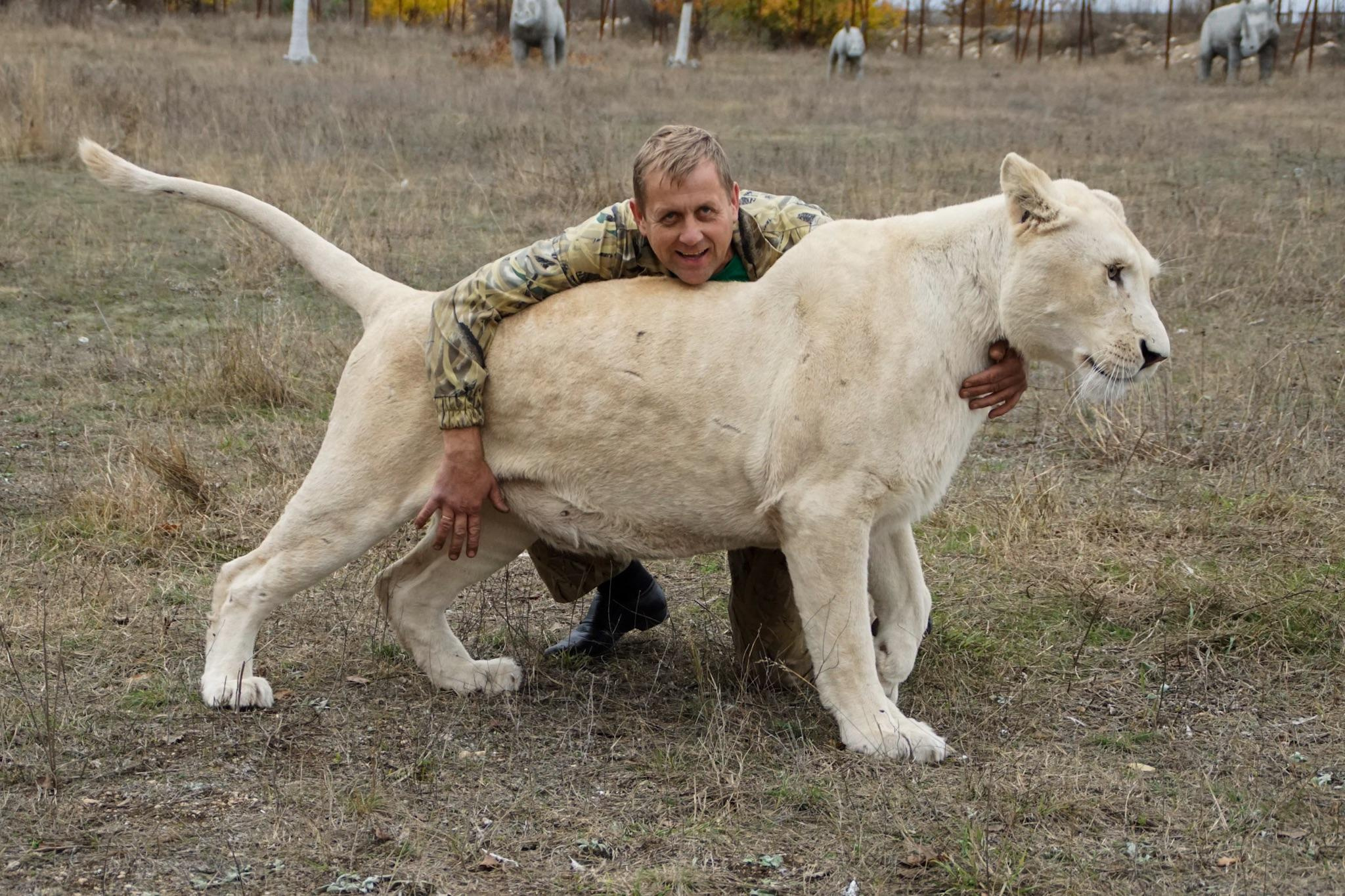 Crimea for Vesti.tourism, 2015. Kartascheff