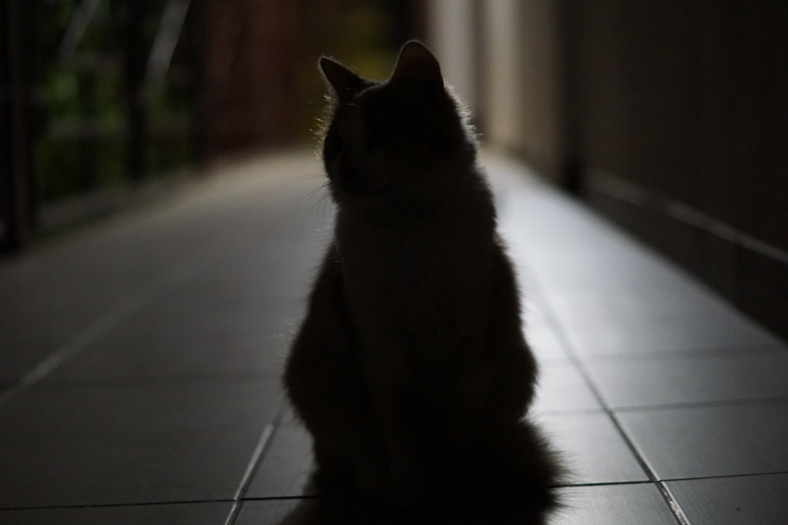 Crimea for Vesti.tourism, 2015. Kartascheff