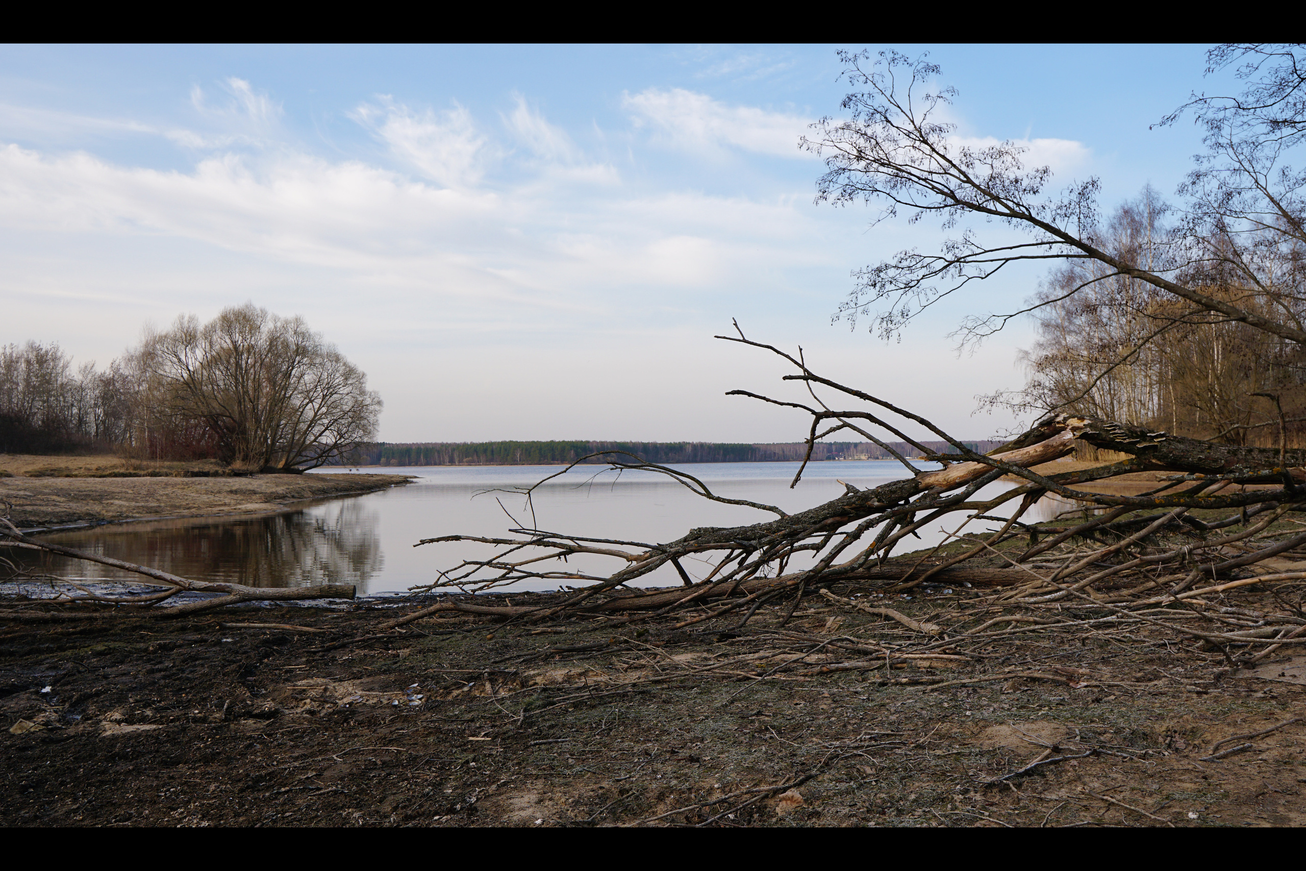 CINEMATICS. Kartascheff