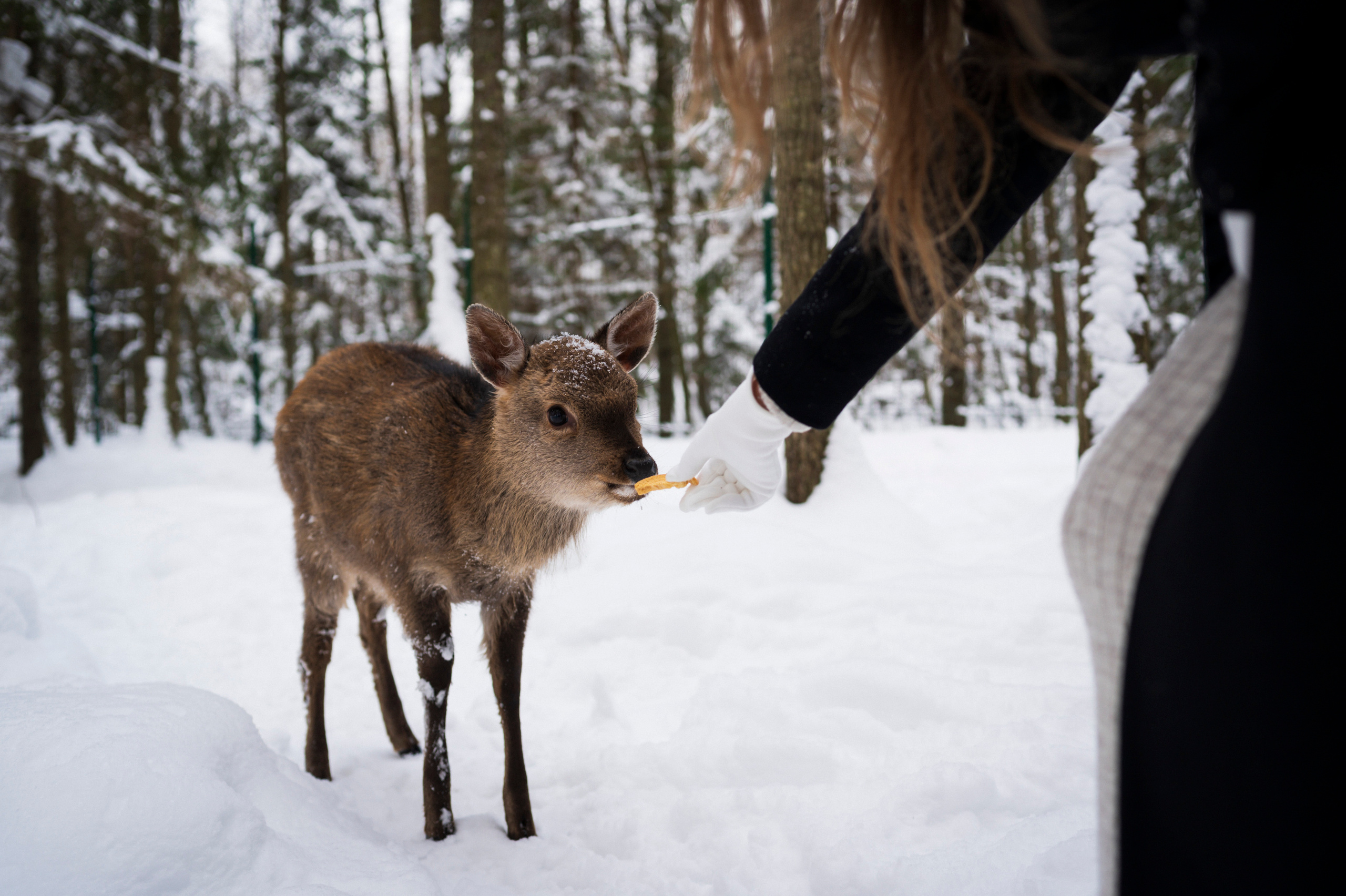Trip with Yulia. Kartascheff