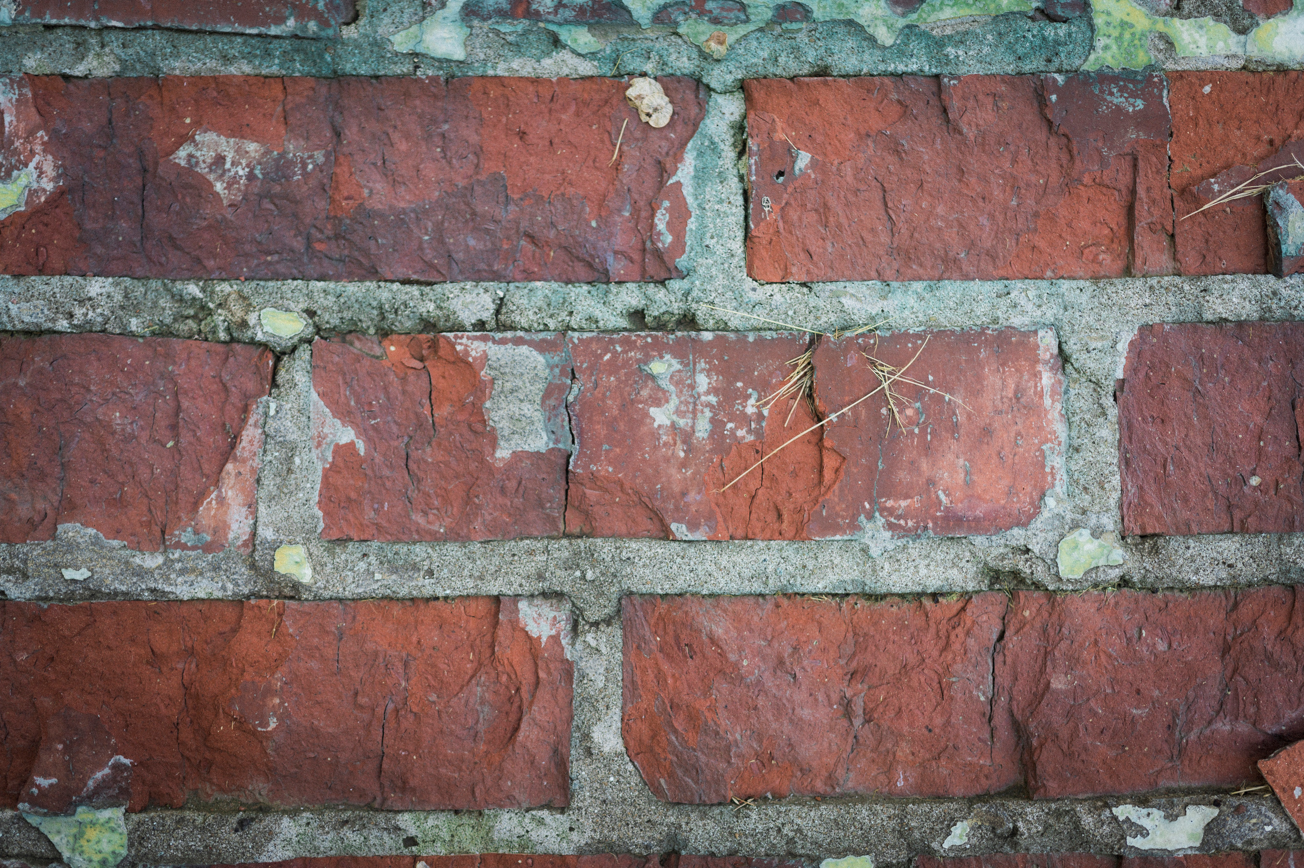 Trip to Kazan. Portrait series