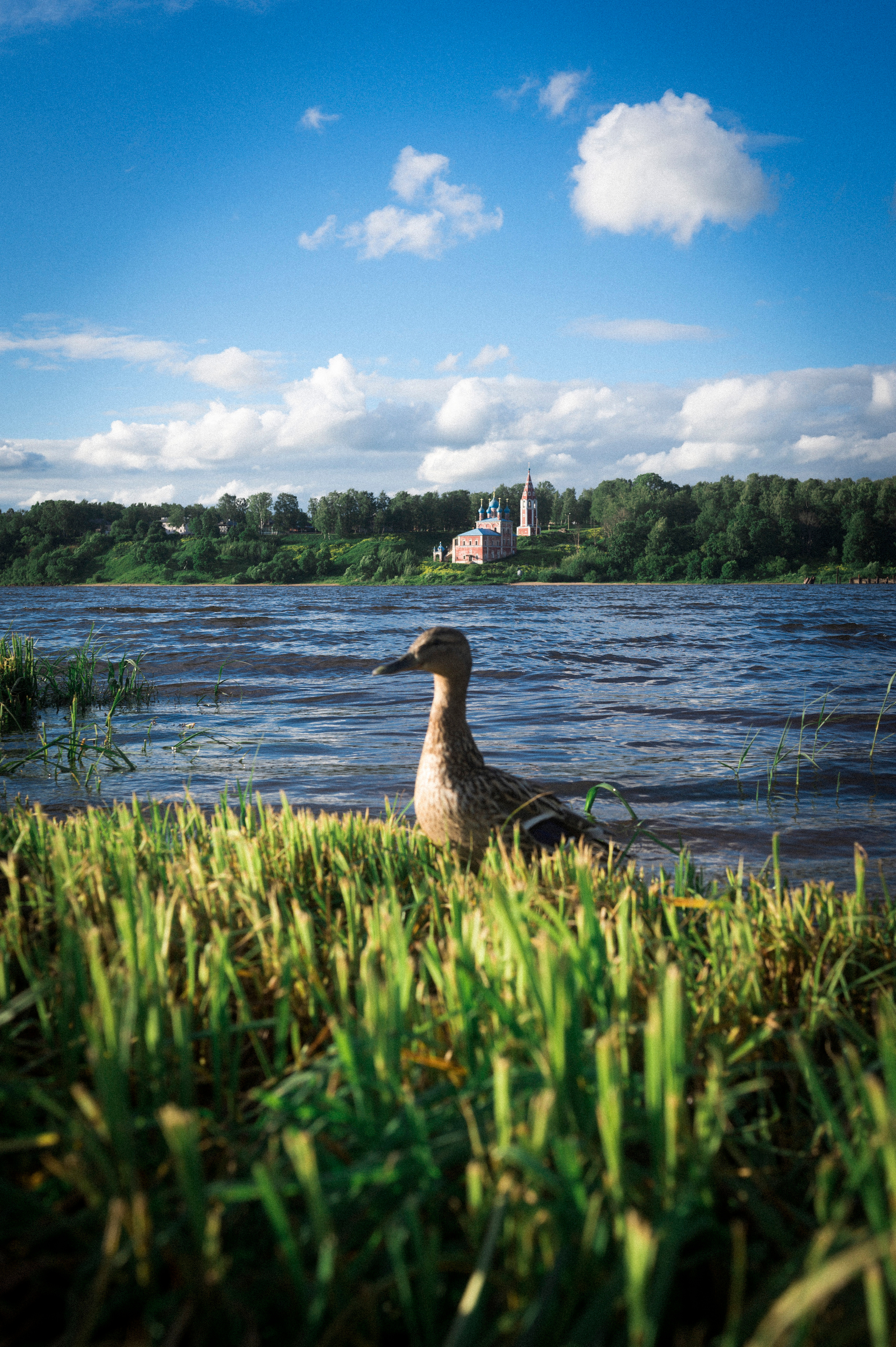 Across Golden Circle 2/2. Kartascheff