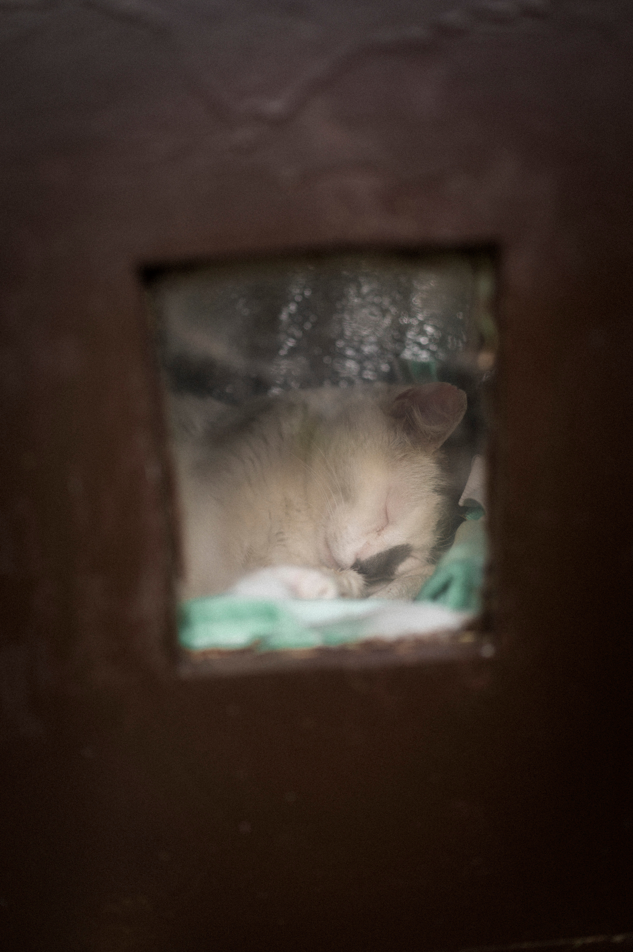 Across Golden Circle 2/2. Kartascheff