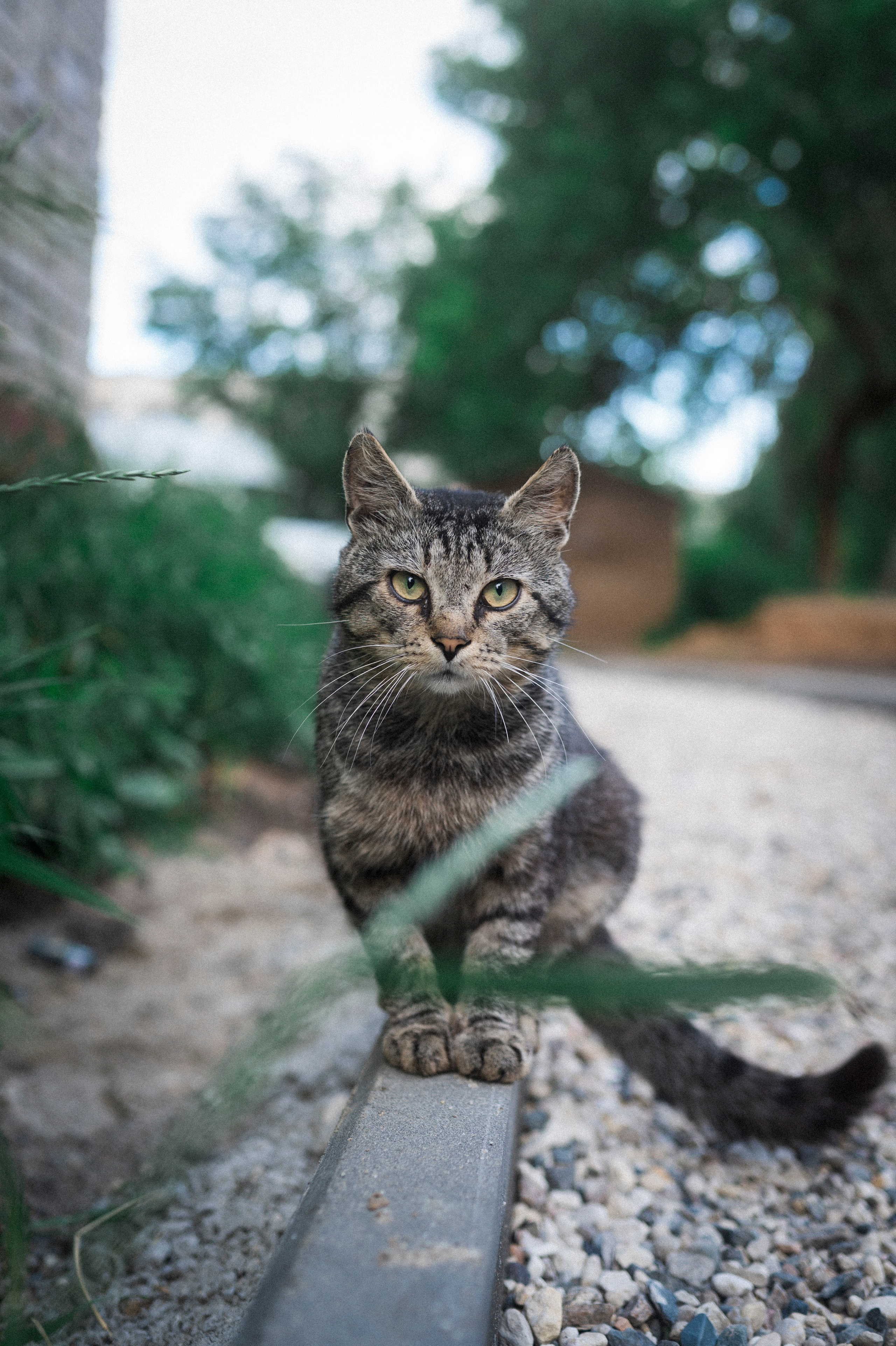 Across Golden Circle 2/2. Kartascheff