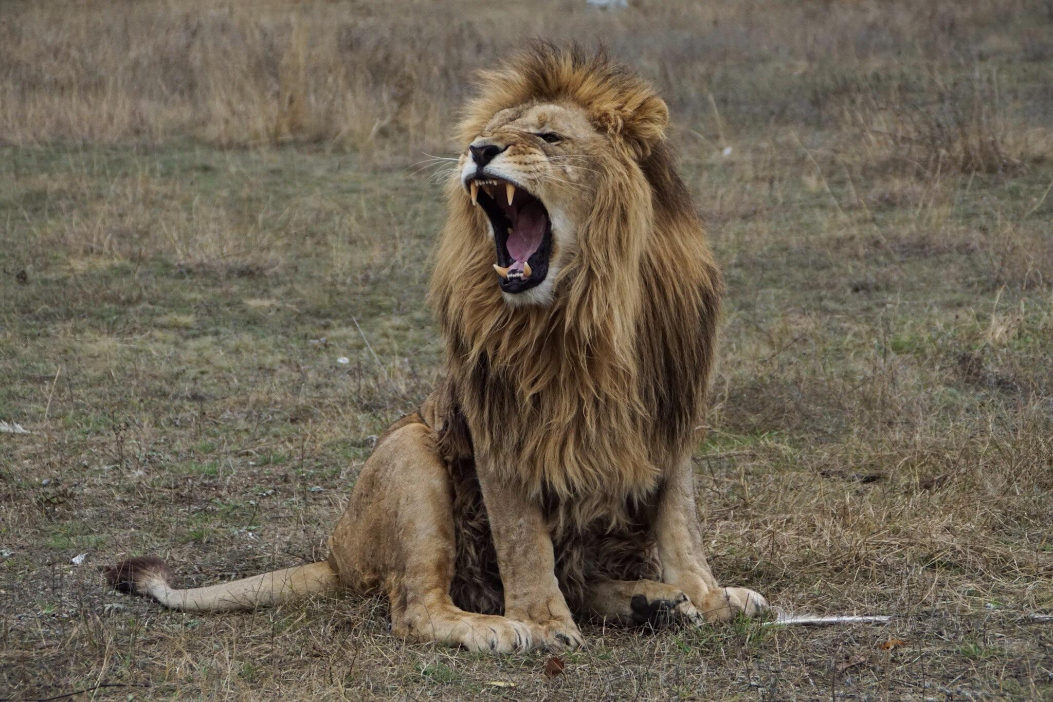 Crimea for Vesti.tourism, 2015. Kartascheff