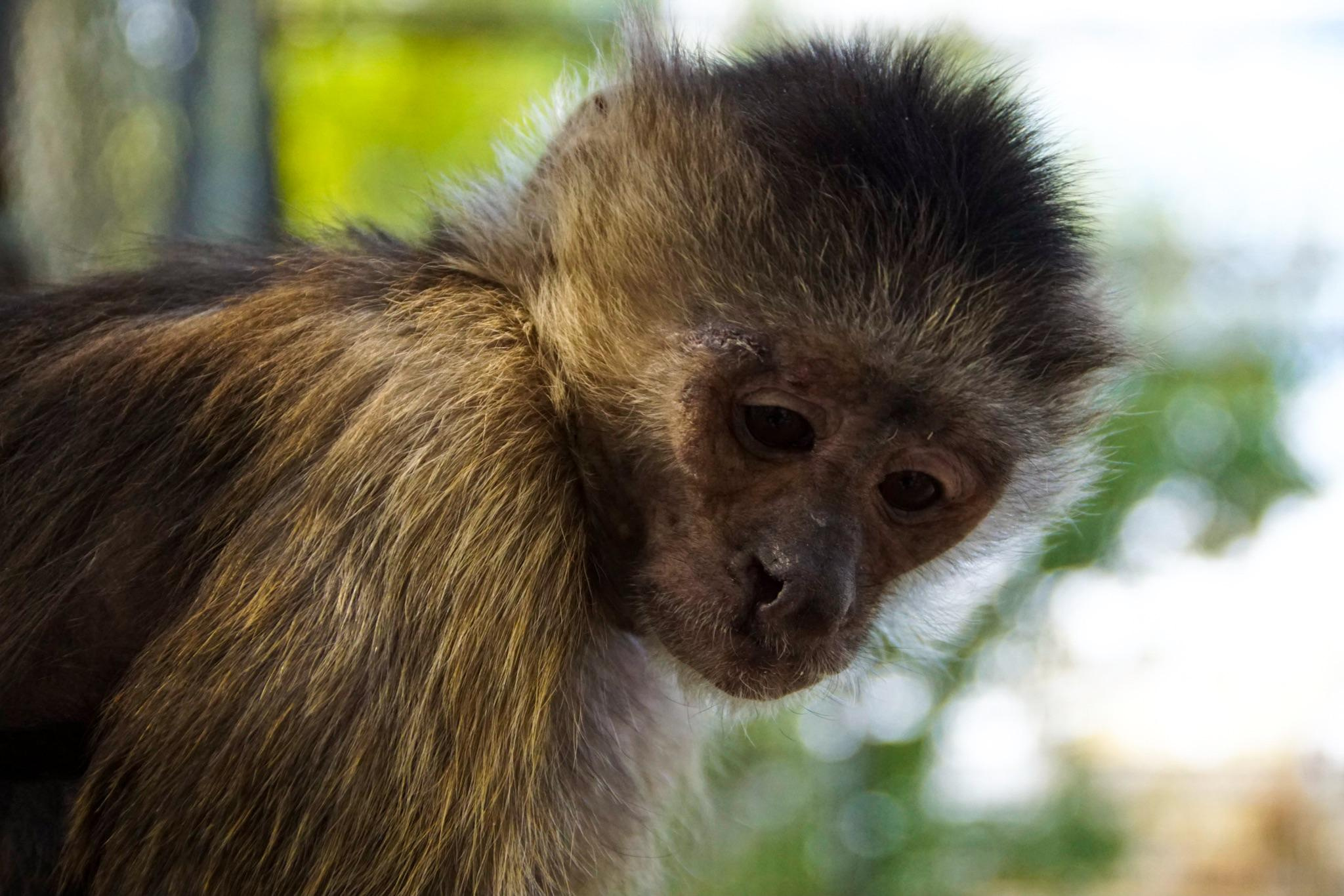 Crimea for Vesti.tourism, 2015. Kartascheff