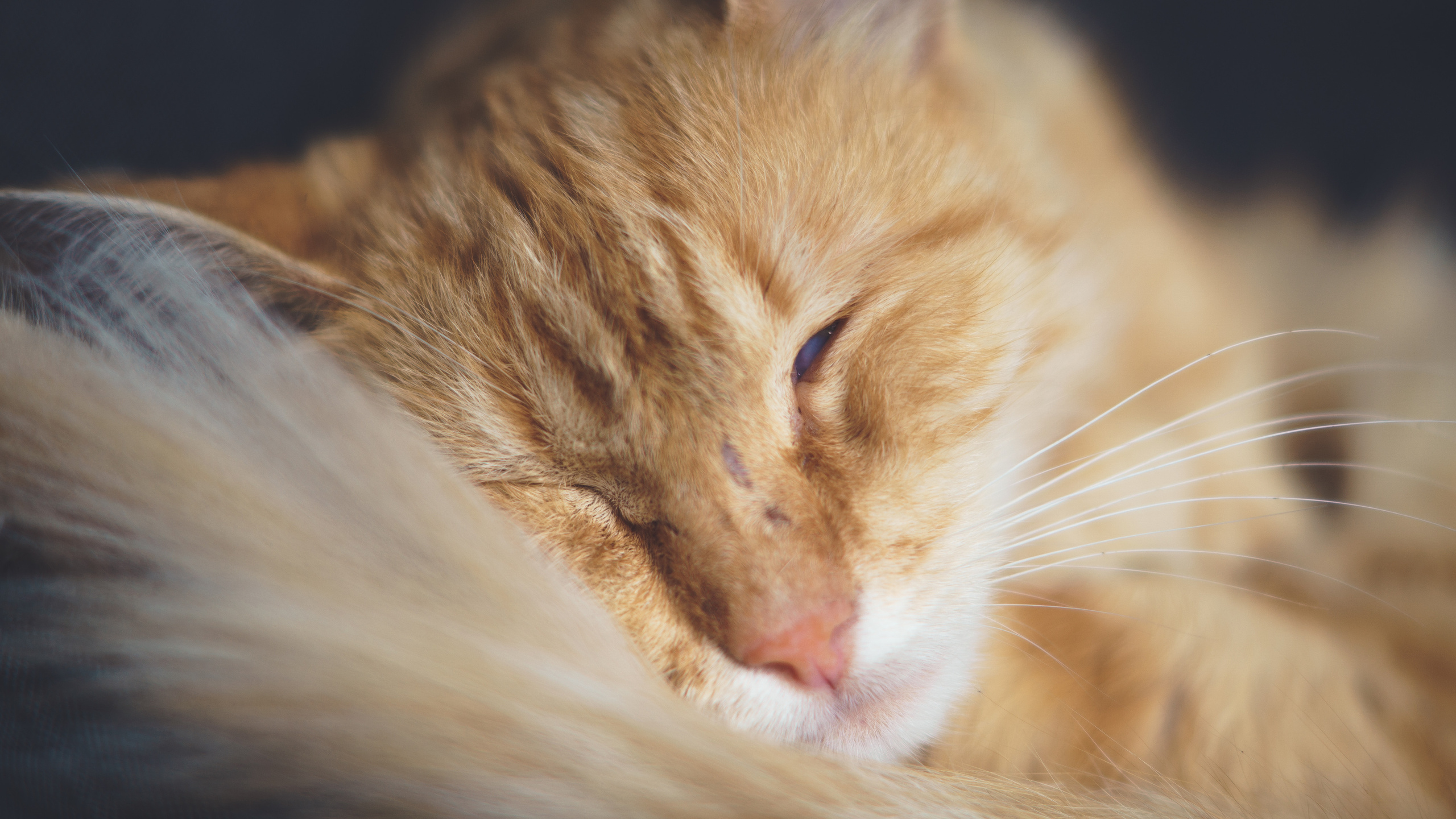 Good old times. Kartascheff