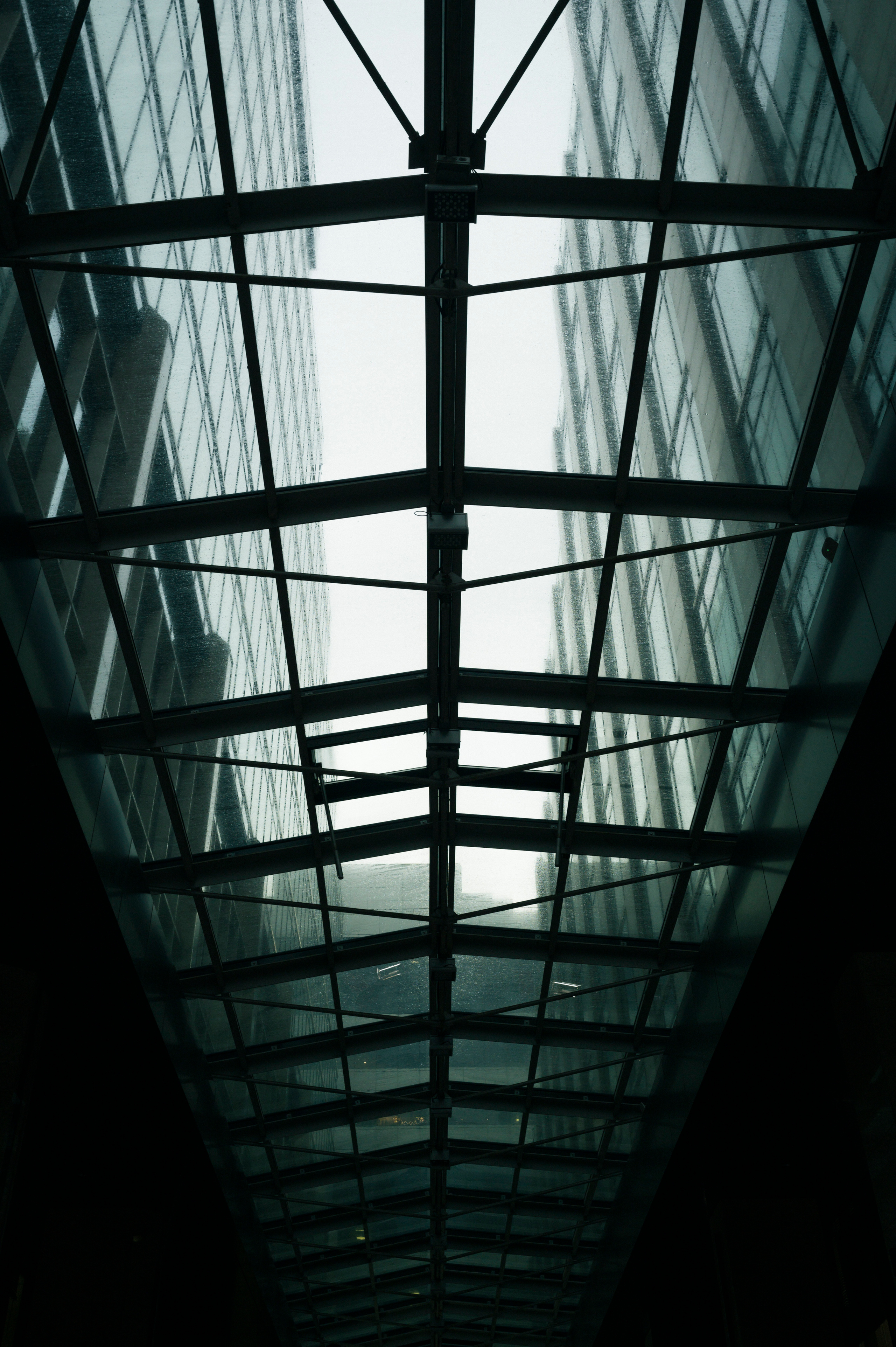 Street with Roma, 5.2022. Kartascheff