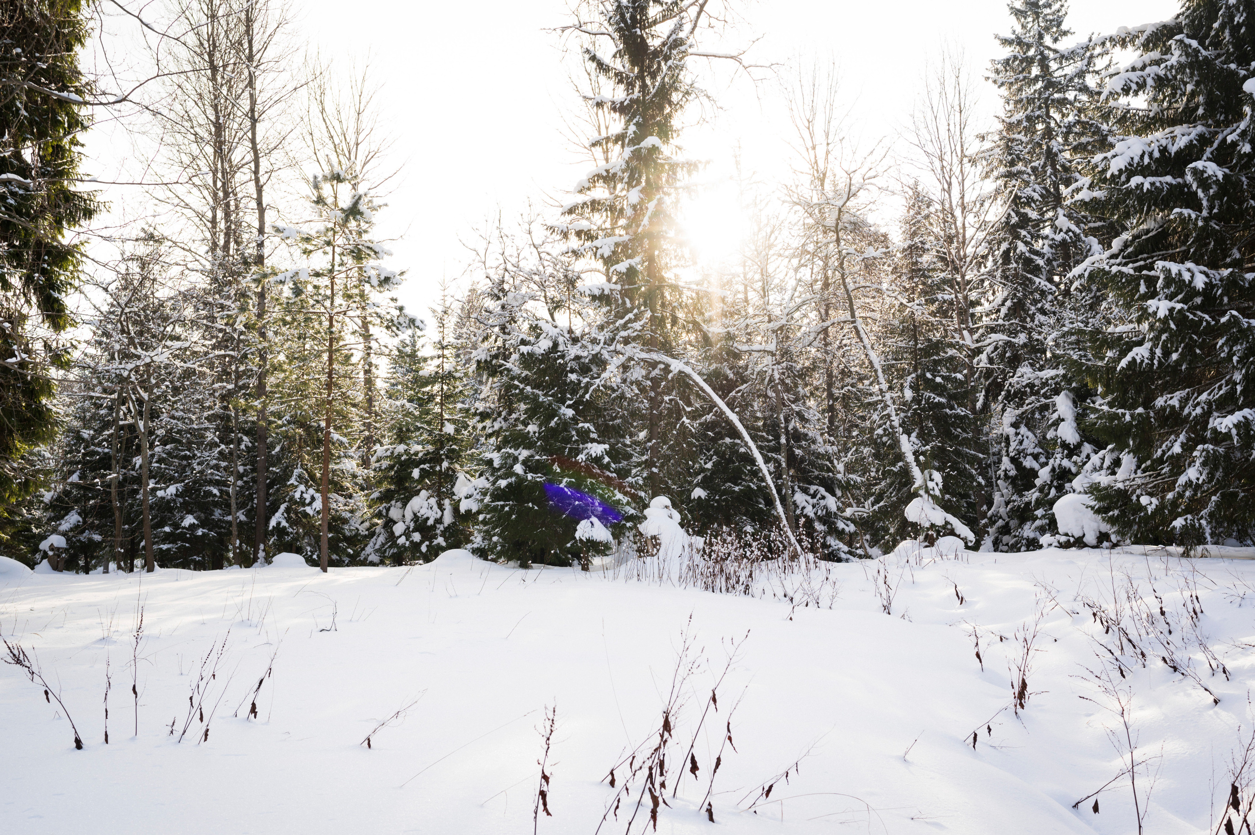 Trip with Yulia. Kartascheff