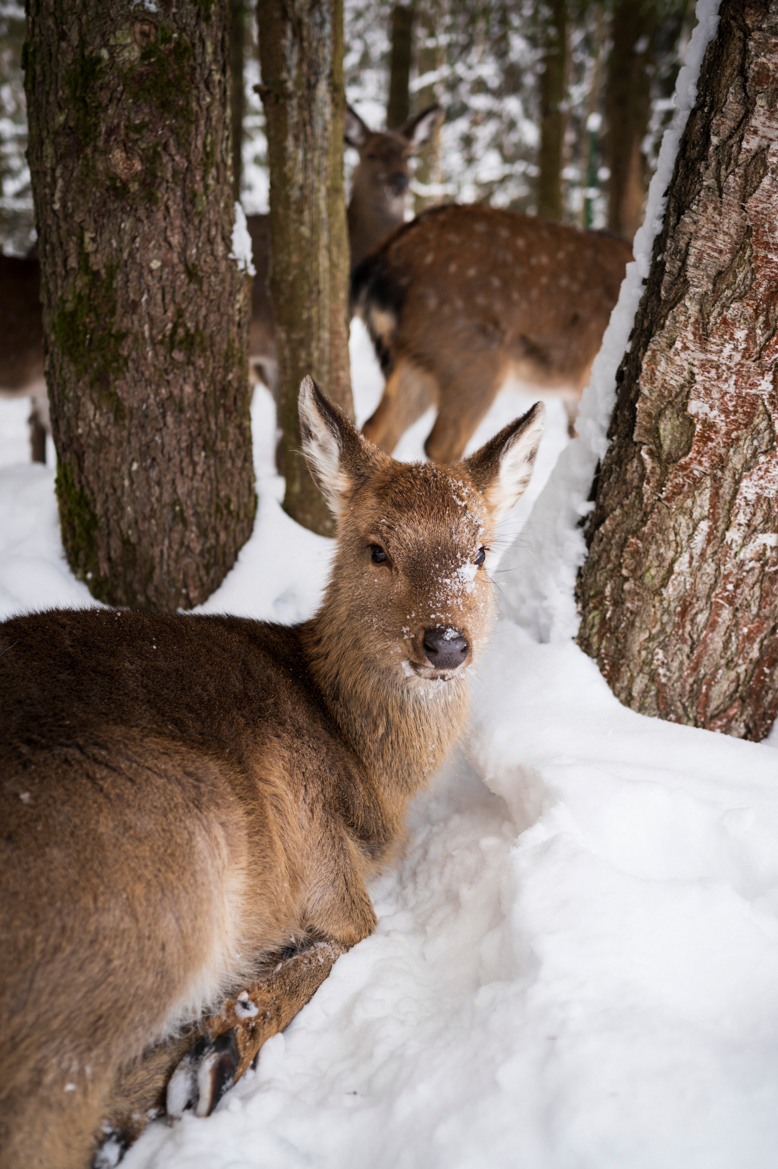 Trip with Yulia. Kartascheff