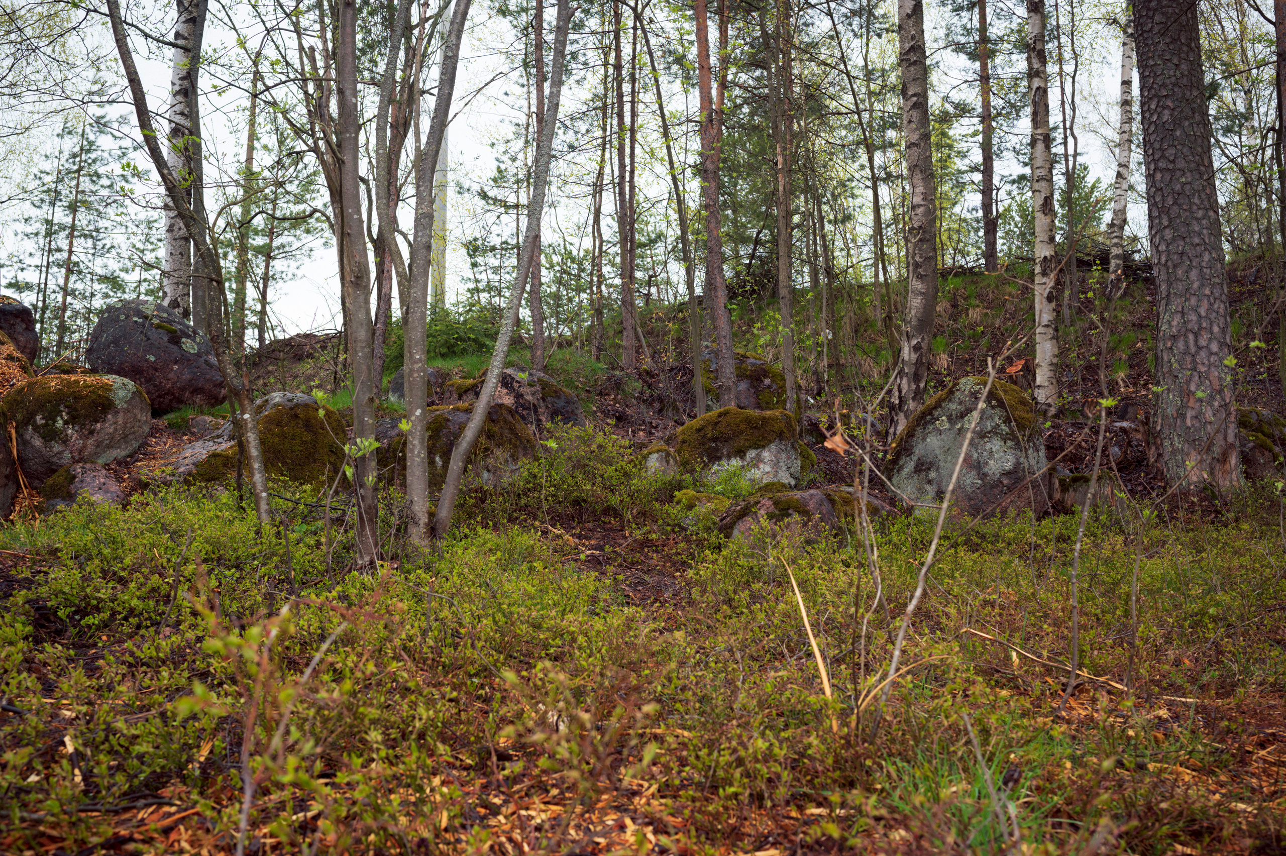 SPB-Tarhovka-Vyborg, 5.2022. Kartascheff