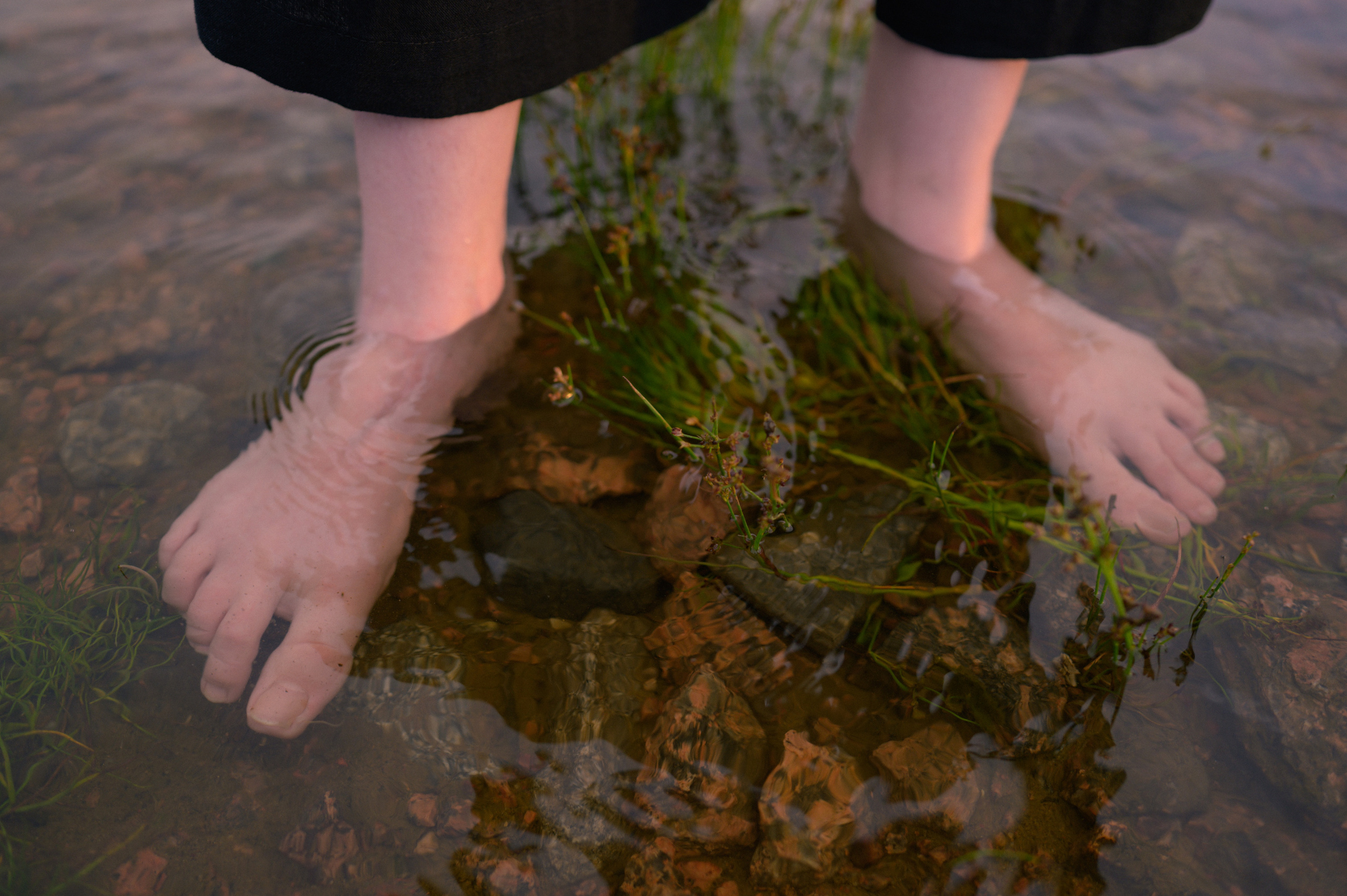 Diana. Portrait series