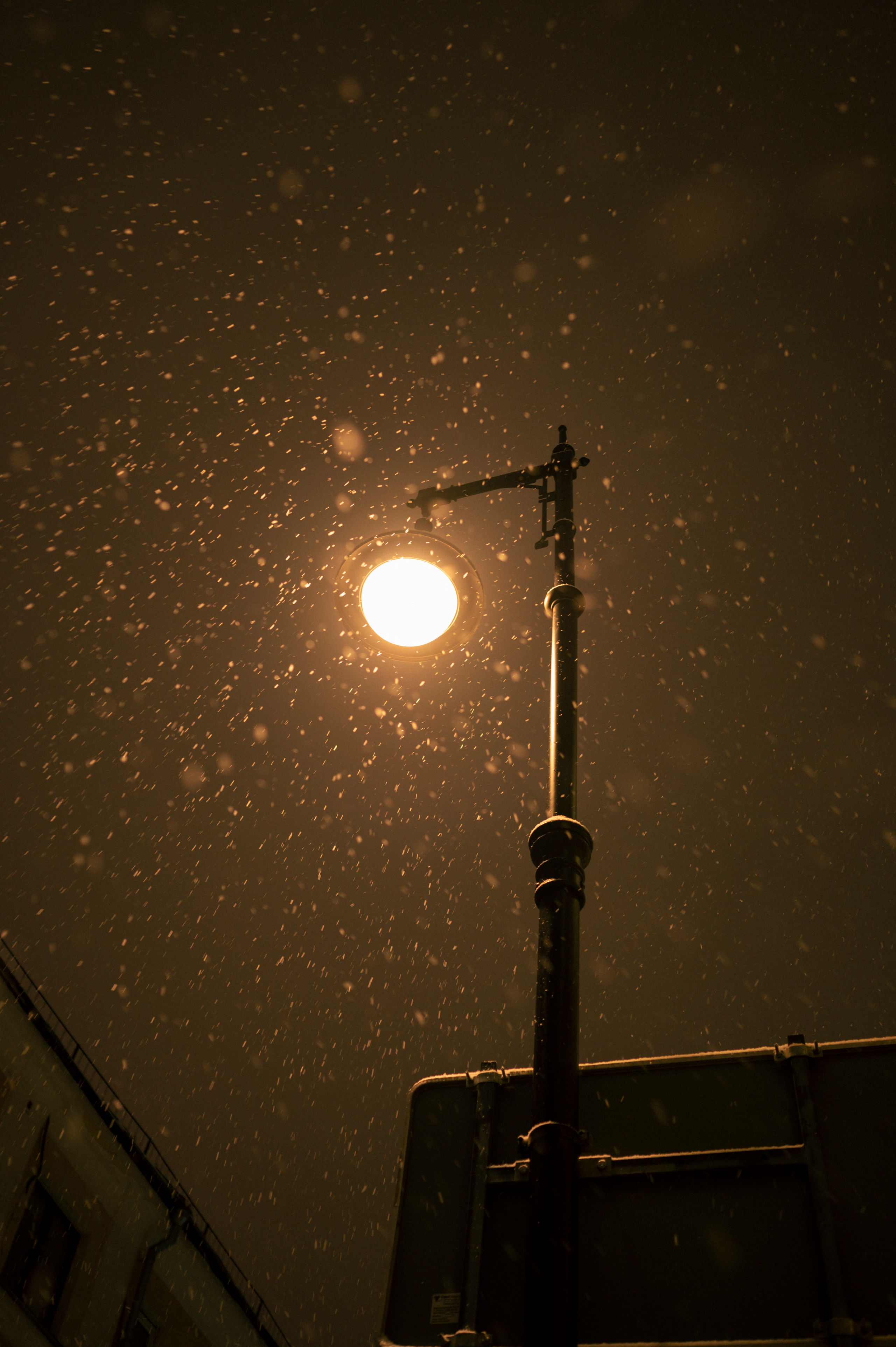 Street with Roma, 12.2021. Kartascheff