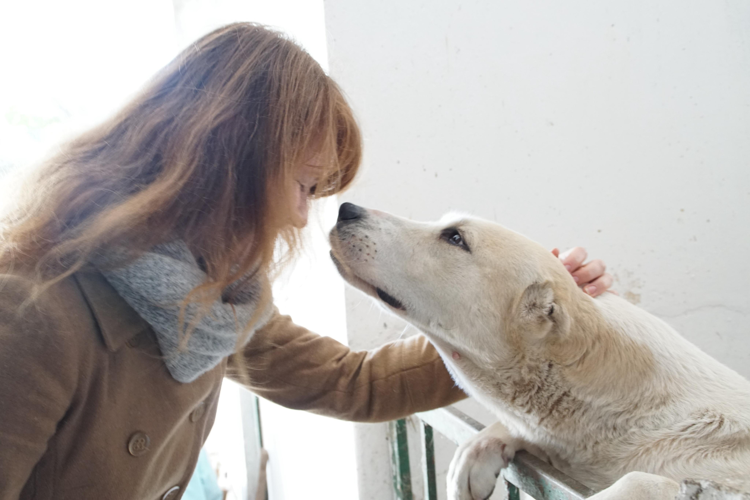 Crimea for Vesti.tourism, 2015. Kartascheff