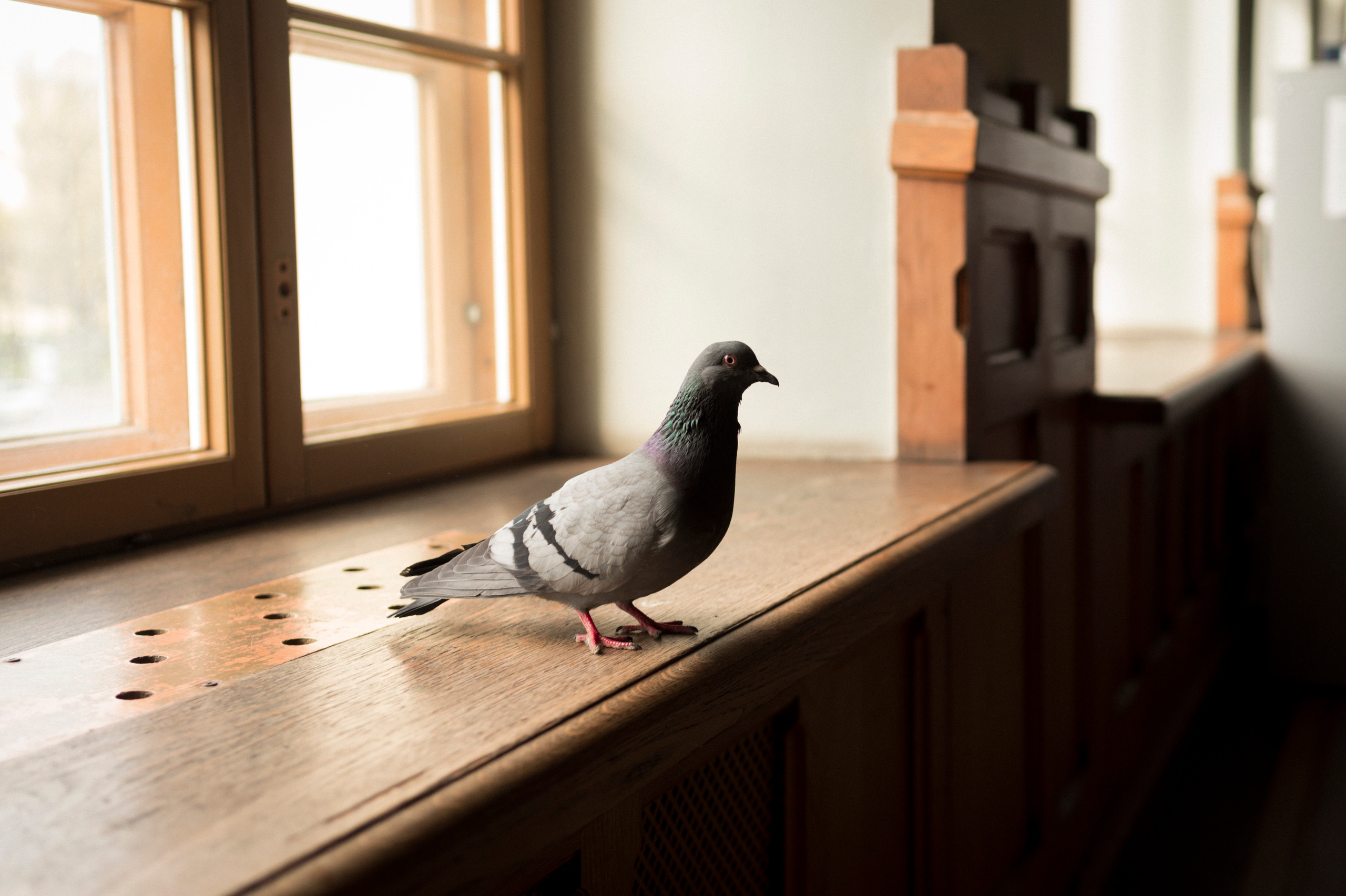 SPB-Tarhovka-Vyborg, 5.2022. Kartascheff