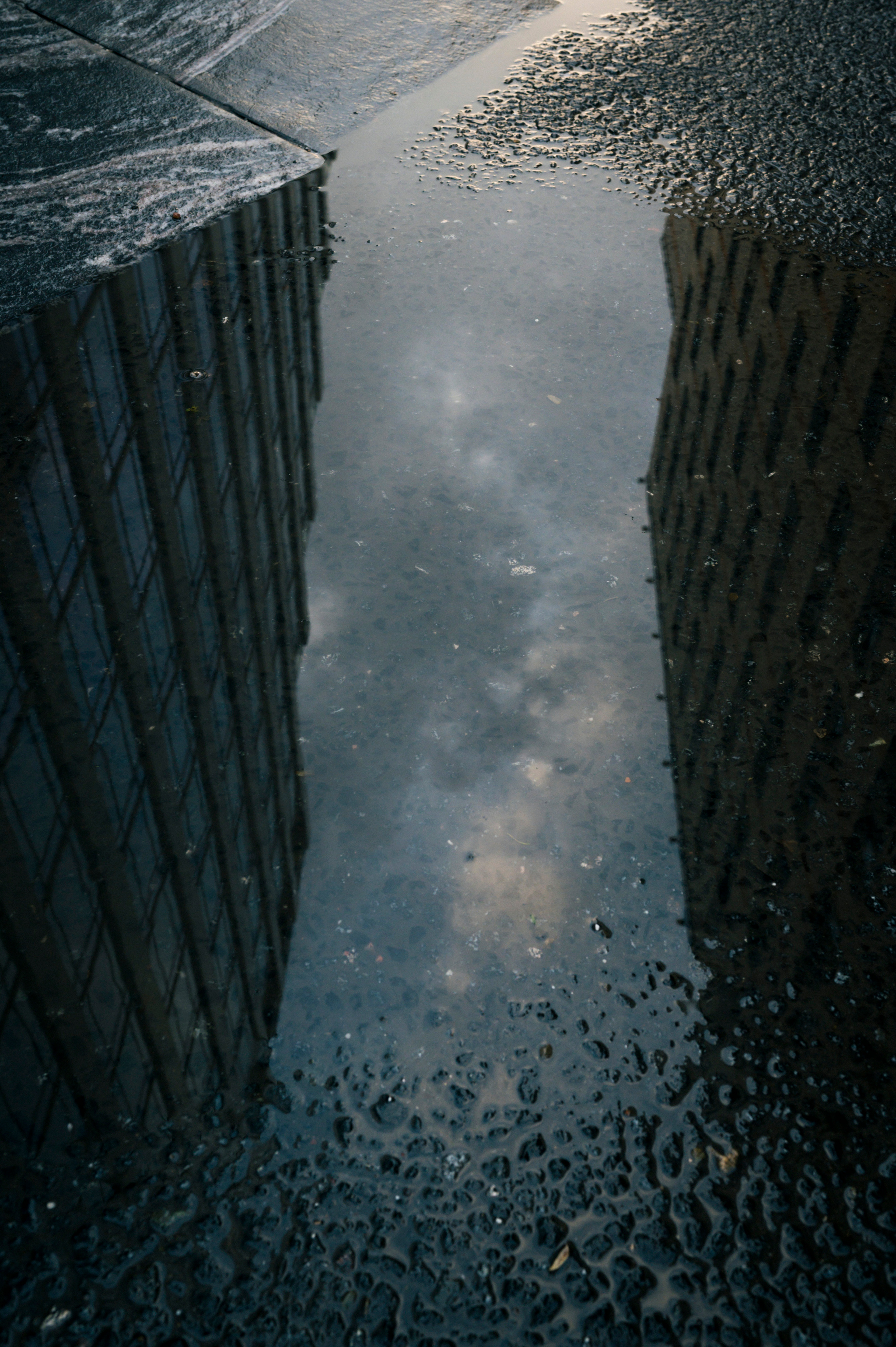 Street with Roma, 5.2022. Kartascheff