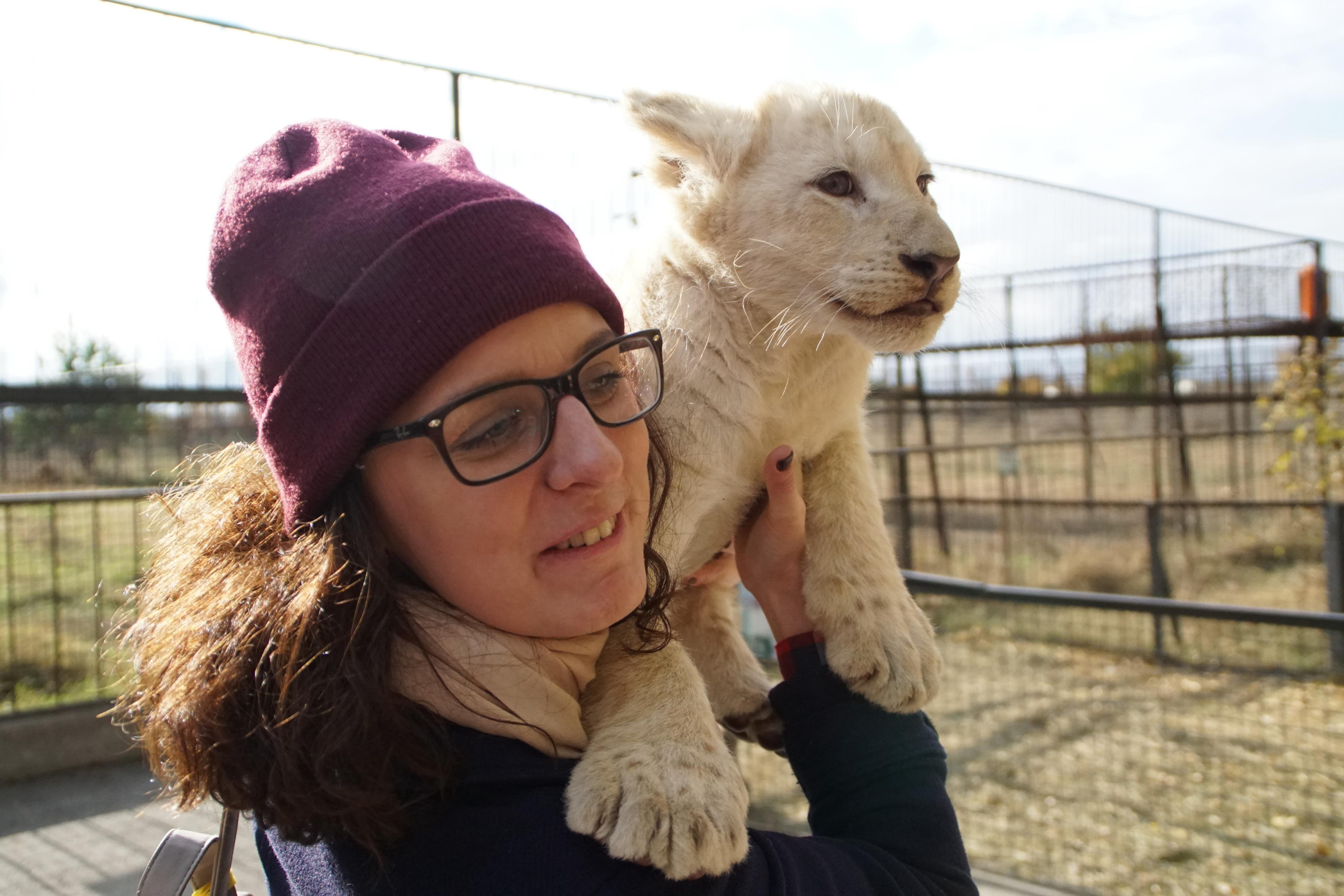 Crimea for Vesti.tourism, 2015. Kartascheff