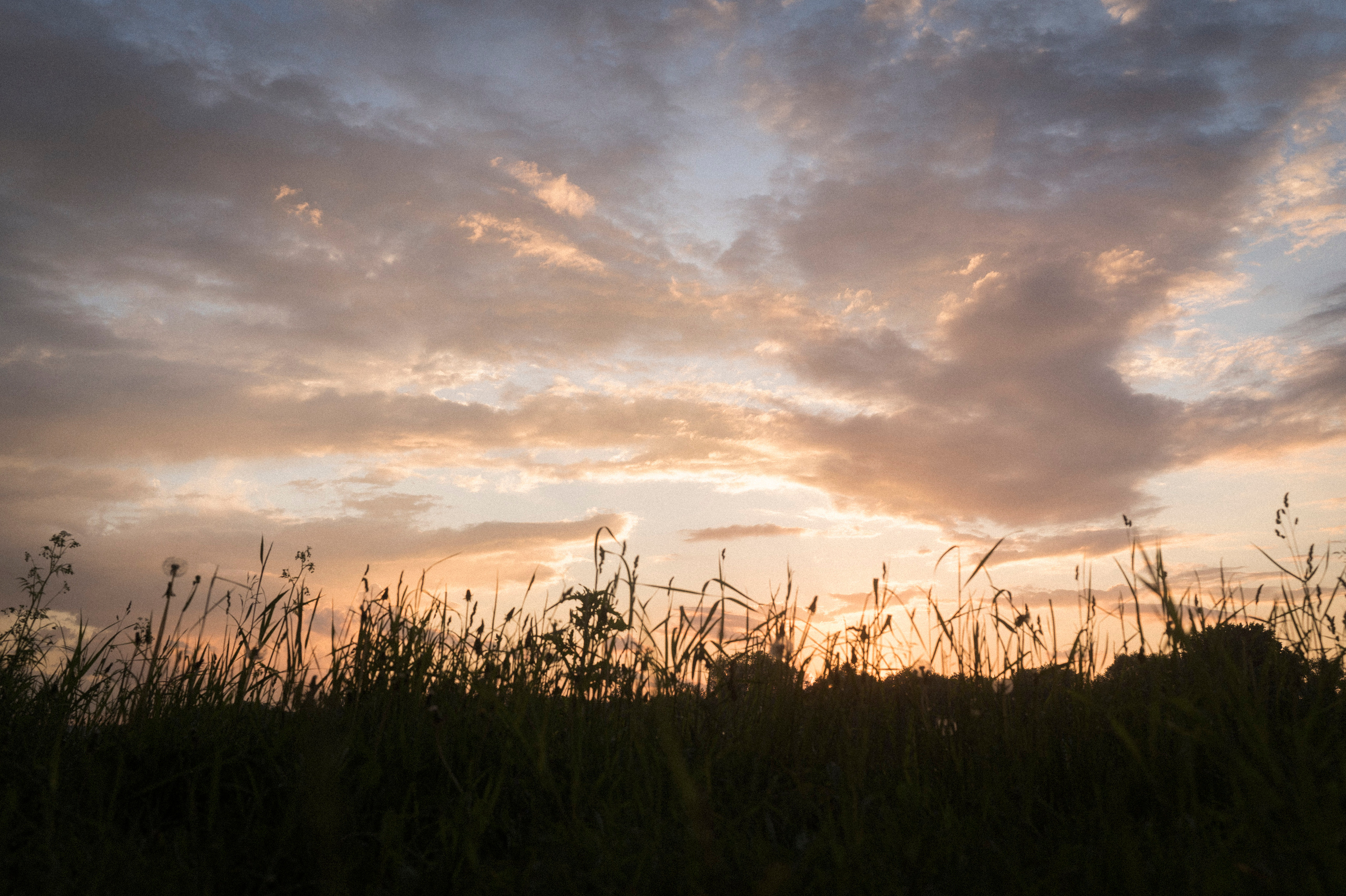 When I was younger. Kartascheff