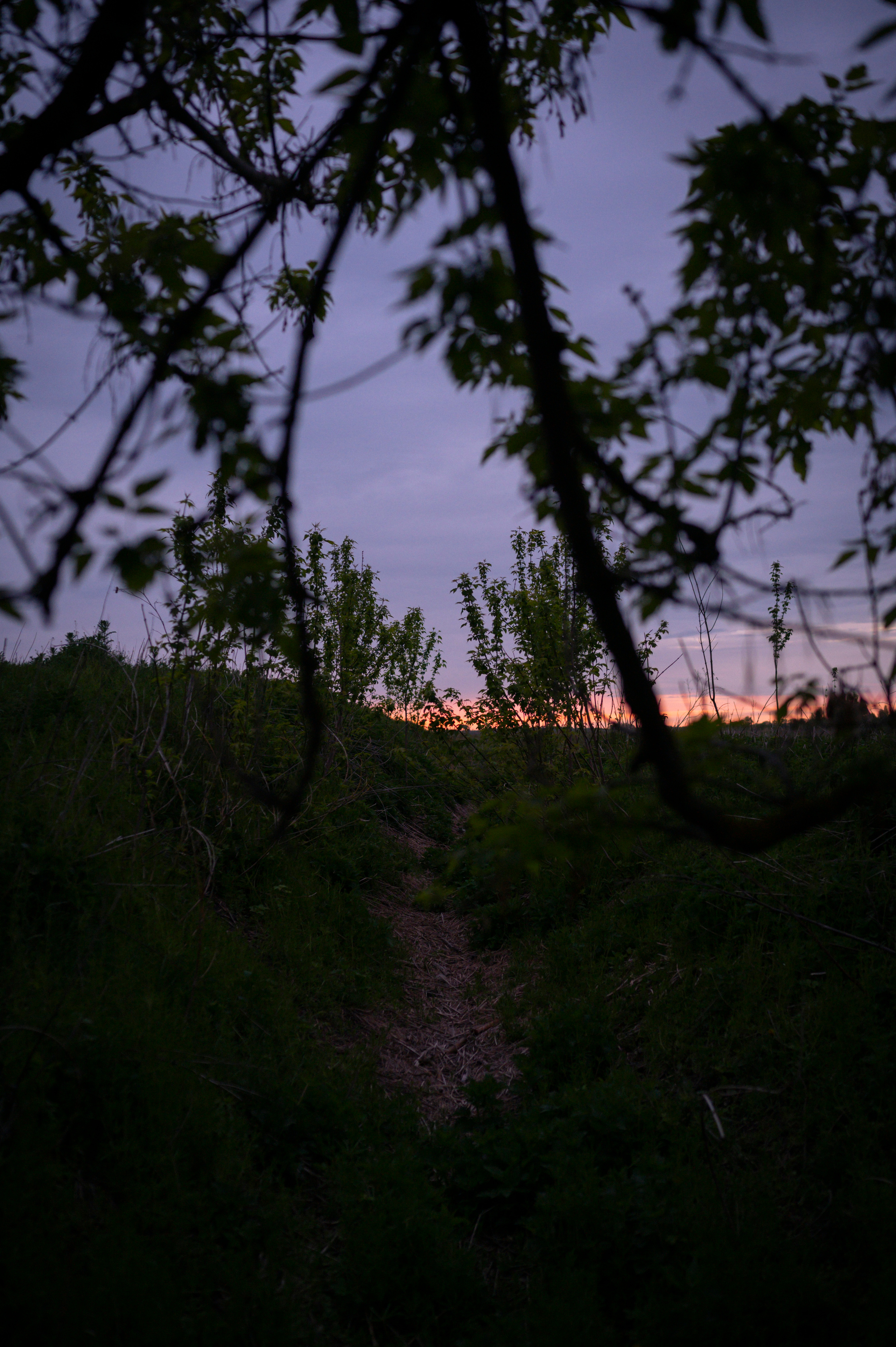 Konduki-Epiphan, 21.5.22. Kartascheff