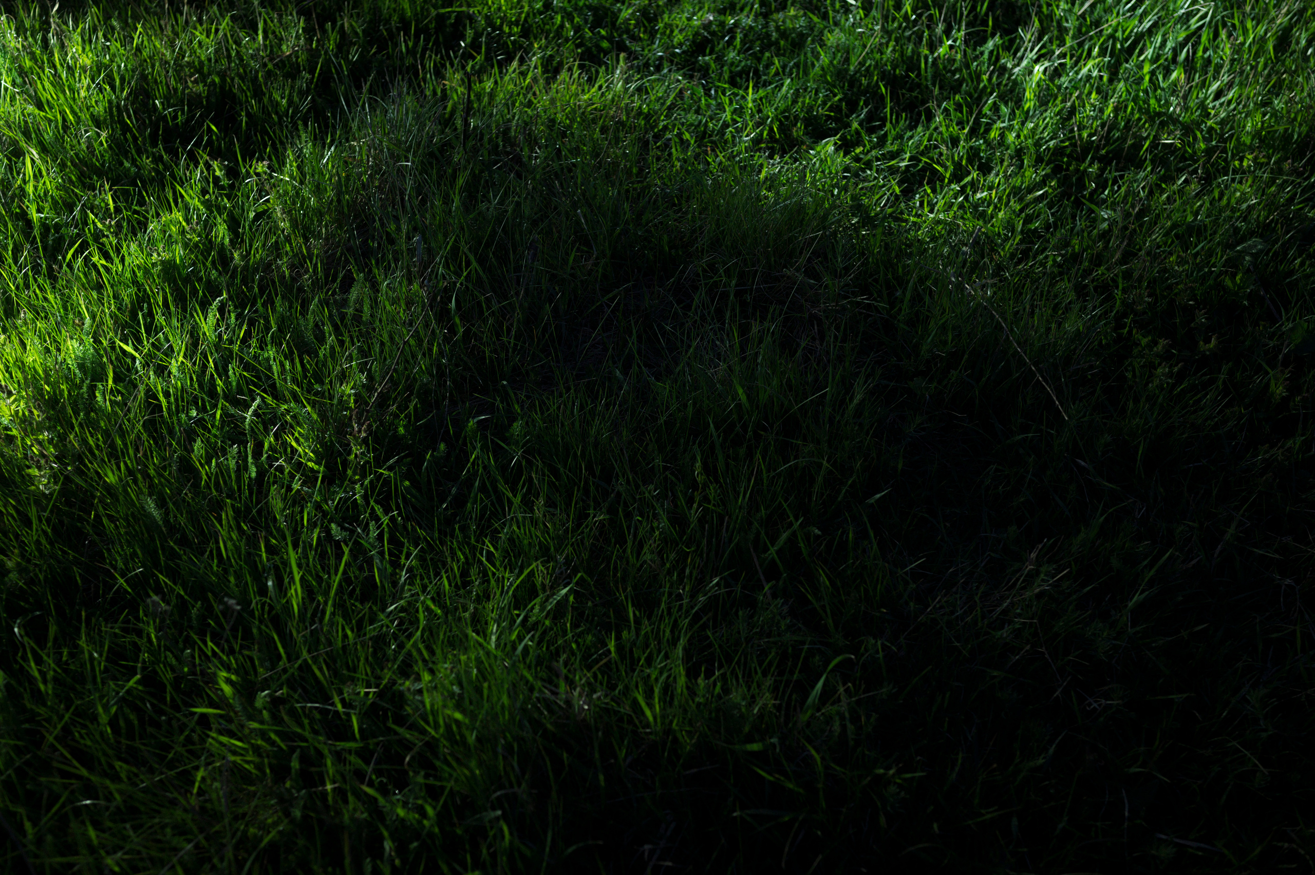 Konduki-Epiphan, 21.5.22. Kartascheff