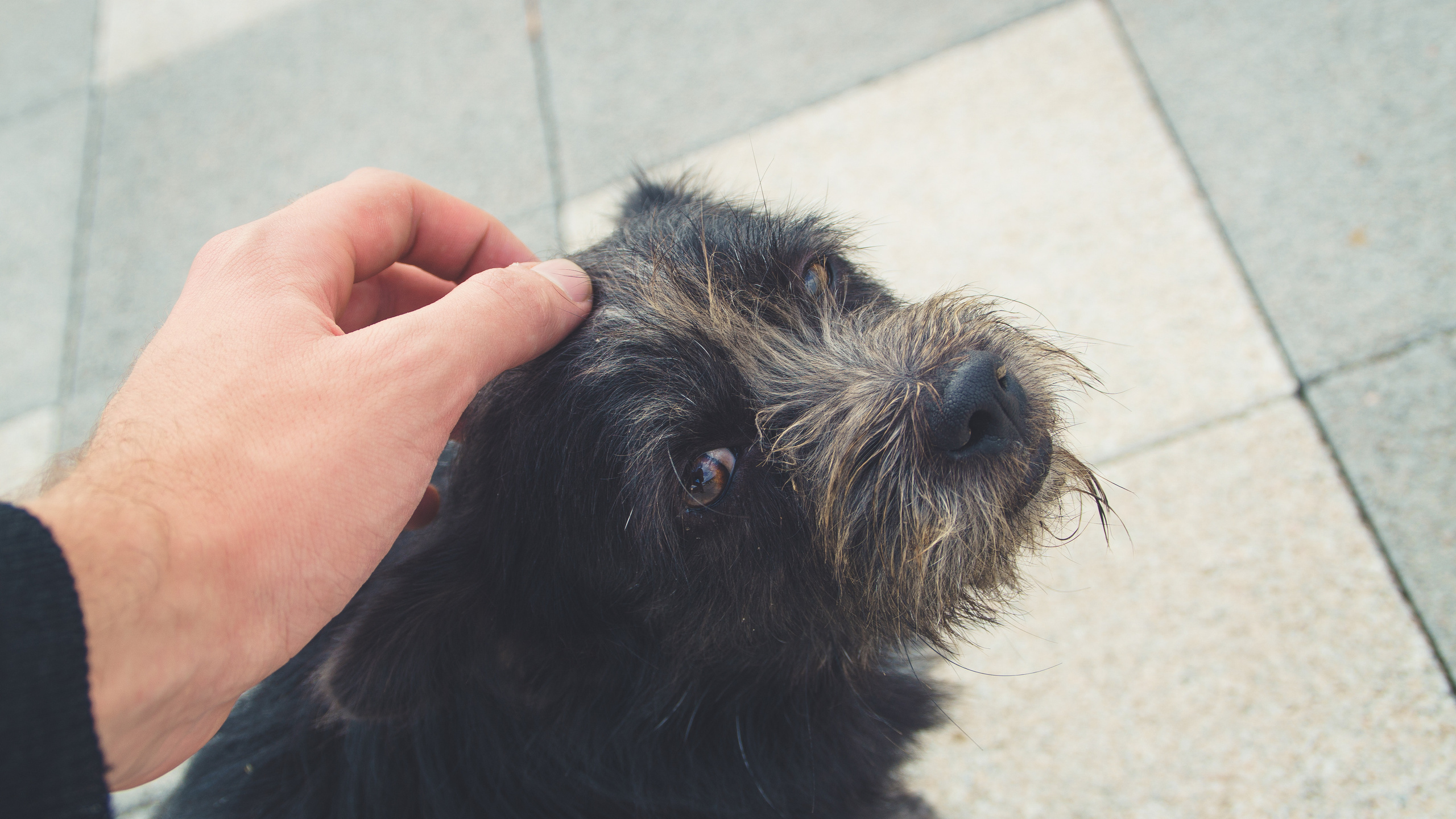 Good old times. Kartascheff