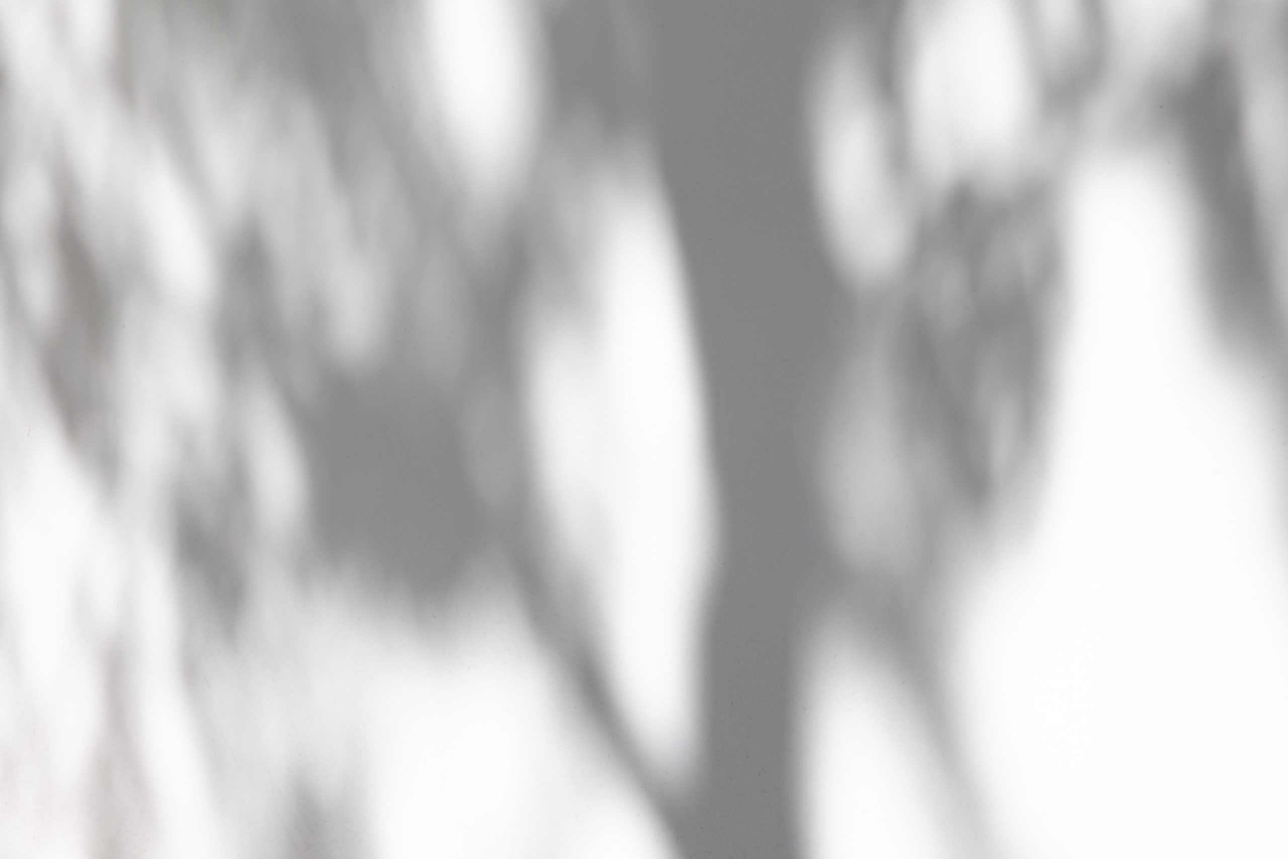 Art prints. Фотограф алина стерхова, алина стерхова фотограф, фотограф москва