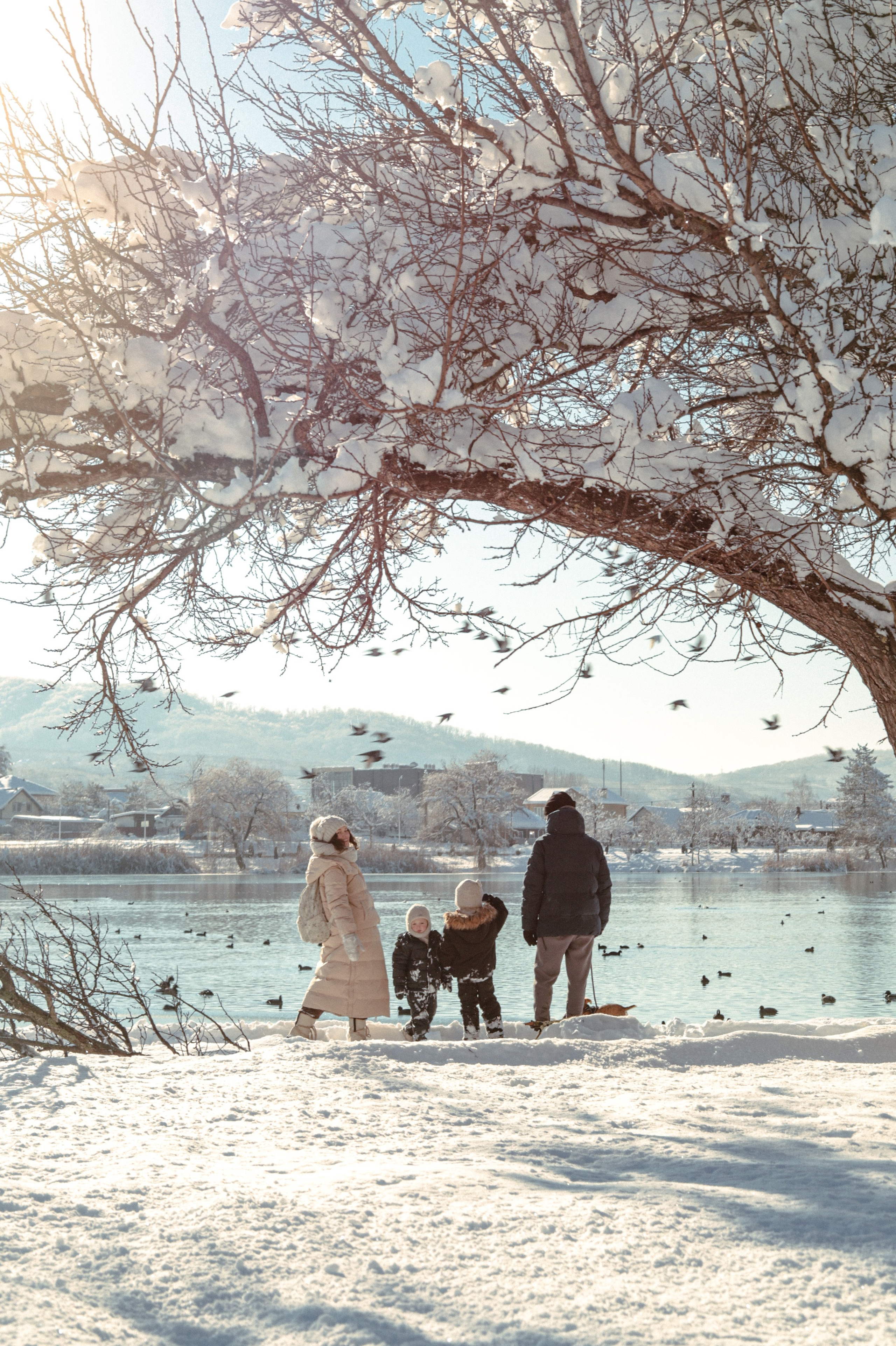 Семейные и беременность. Главная