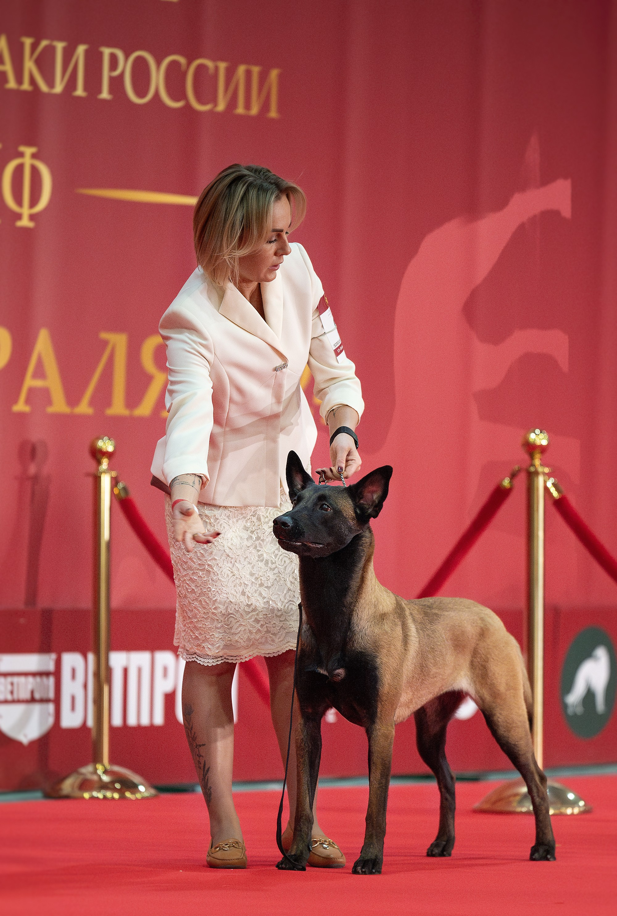 Выставки. Фотограф — анималист Тигунова Мария г. Москва