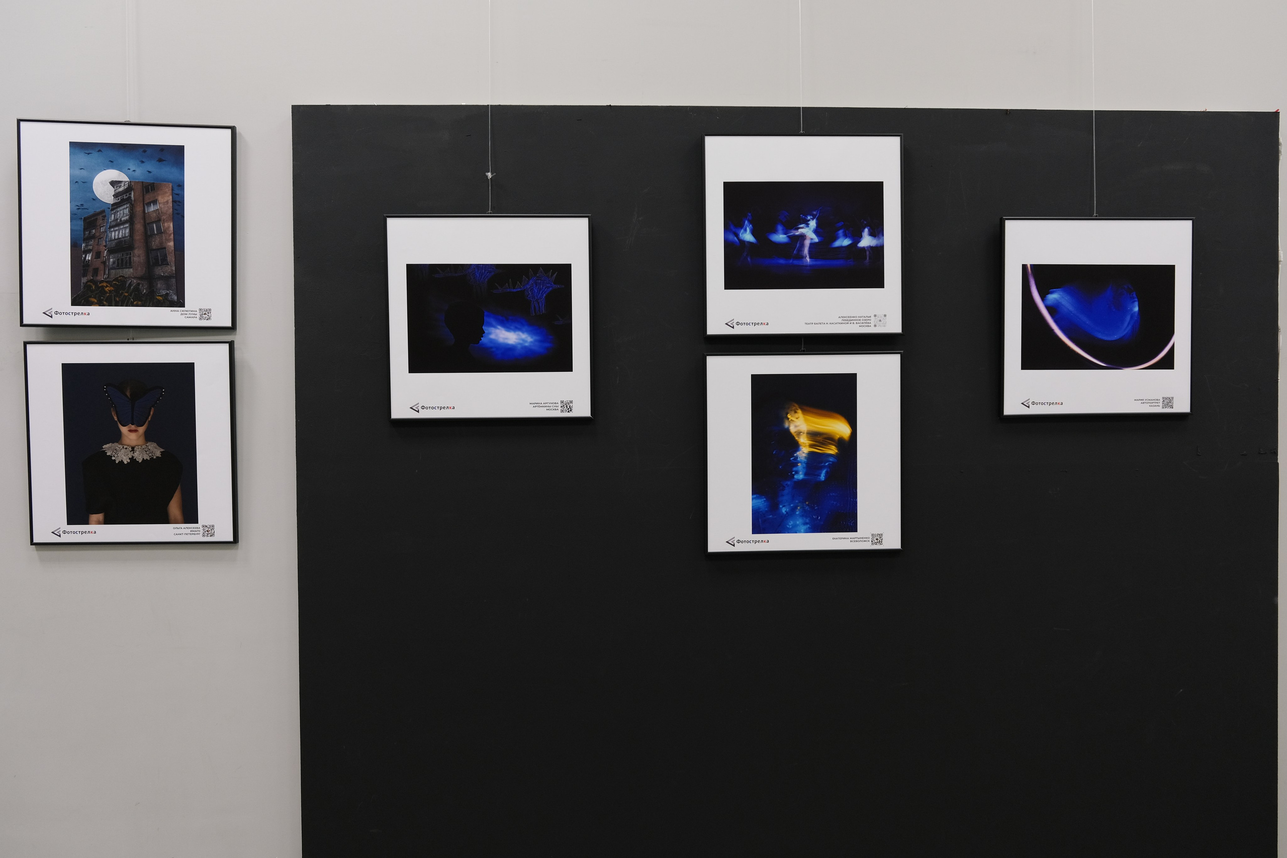 Синяя в Москве 05.07 — 20.08.25. Фотострелка