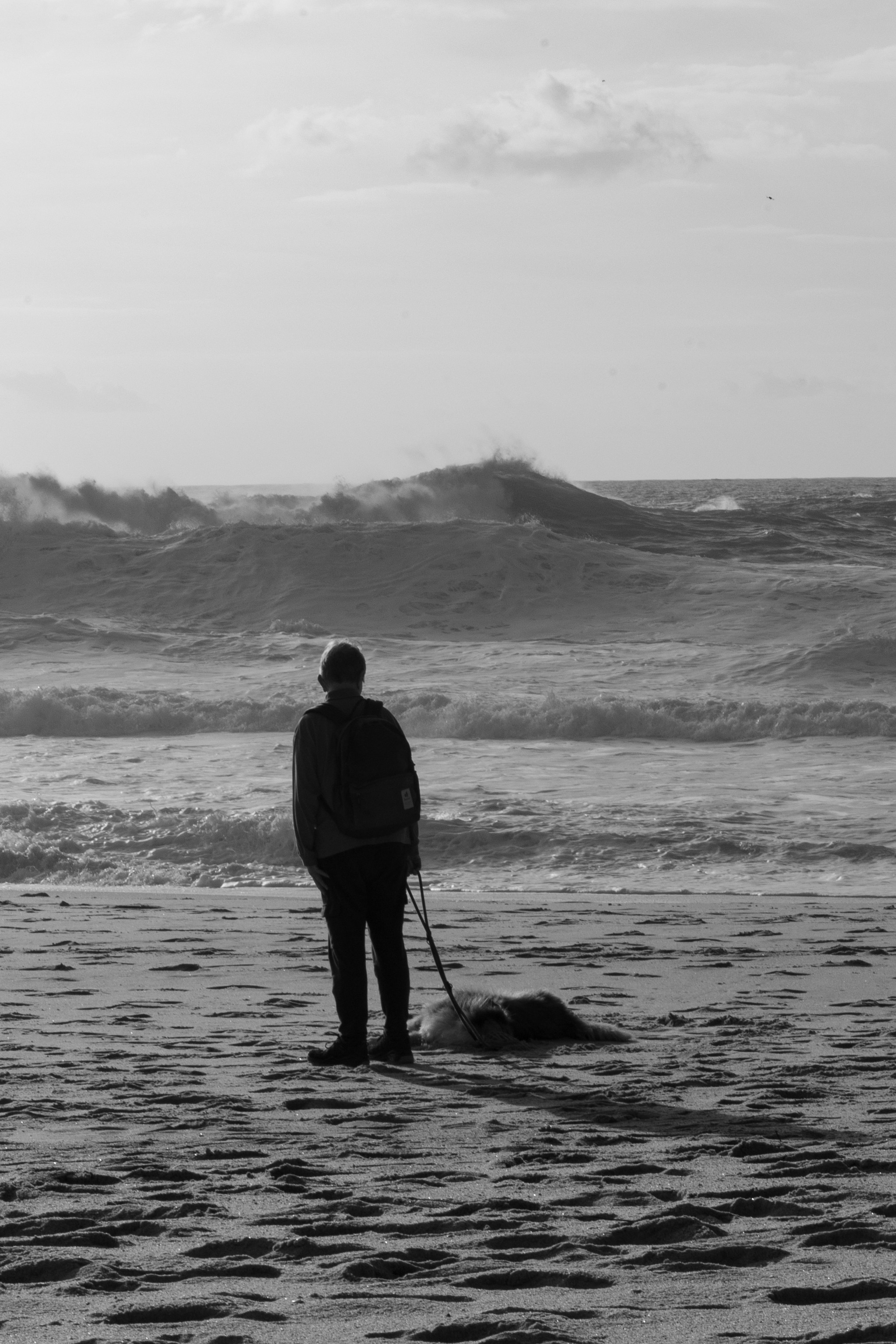 Art prints. Фотограф алина стерхова, алина стерхова фотограф, фотограф москва