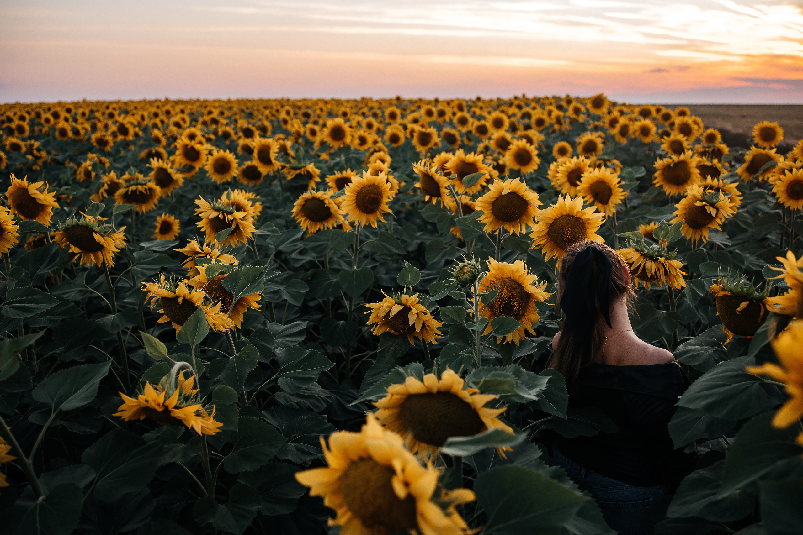Съёмка в кукурузном поле. Семейный, свадебный и портретный фотограф в Саратове Мария Засыпкина