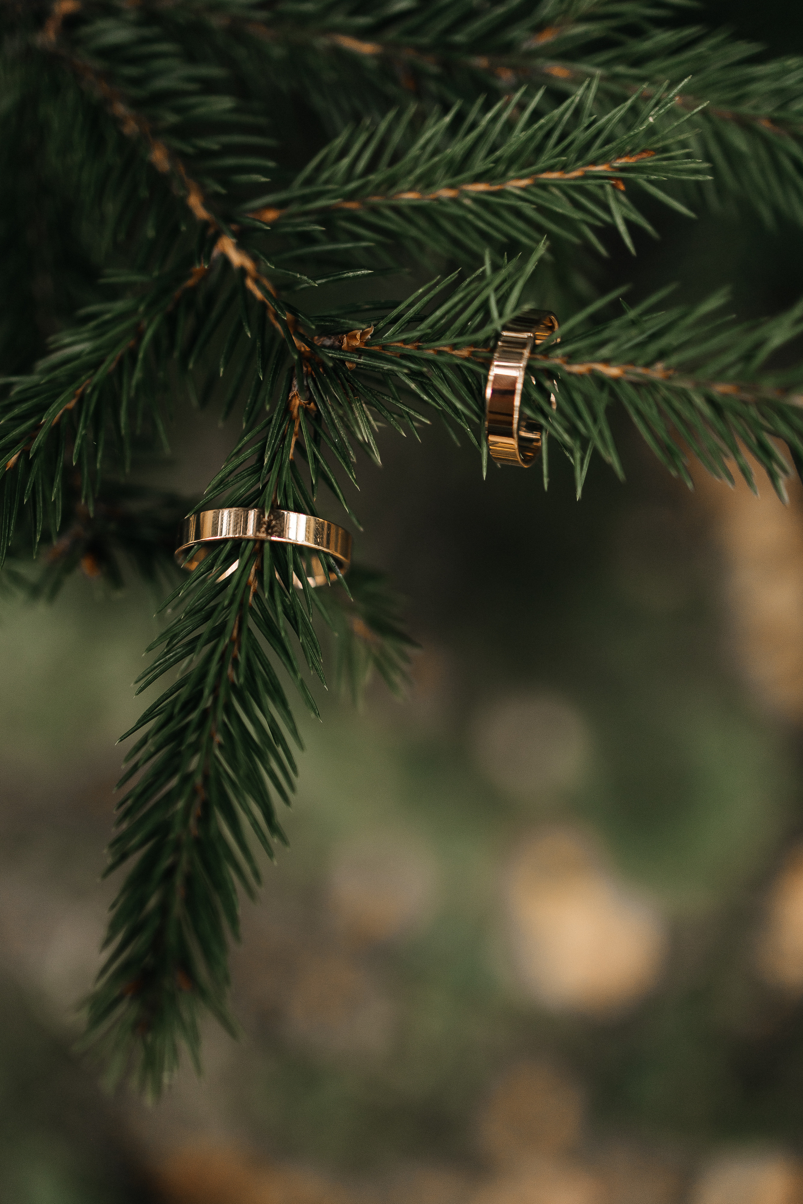 Дарья и Олег. Семейный, свадебный и портретный фотограф в Саратове Мария Засыпкина