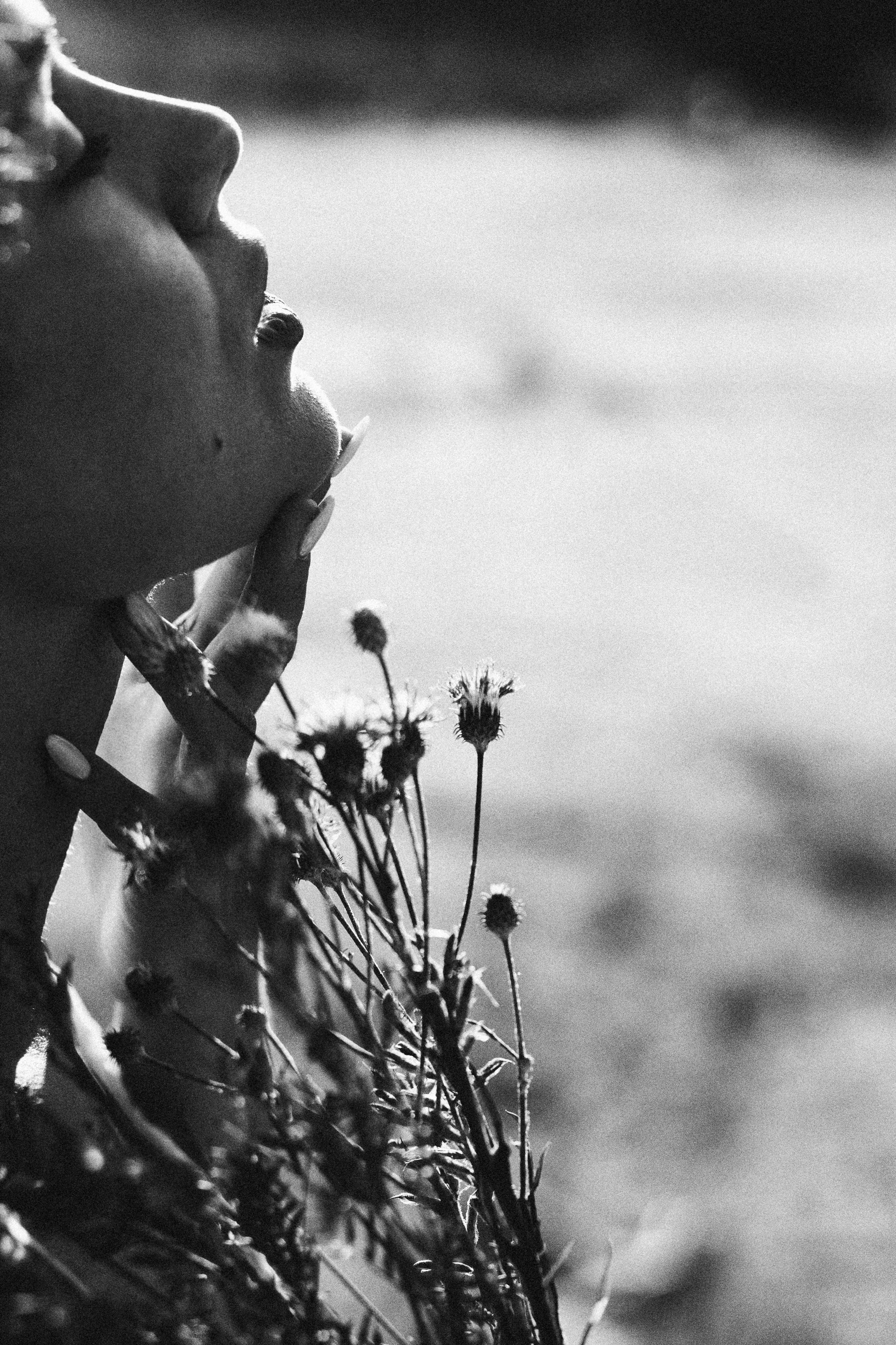 Анна. Семейный, свадебный и портретный фотограф в Саратове Мария Засыпкина