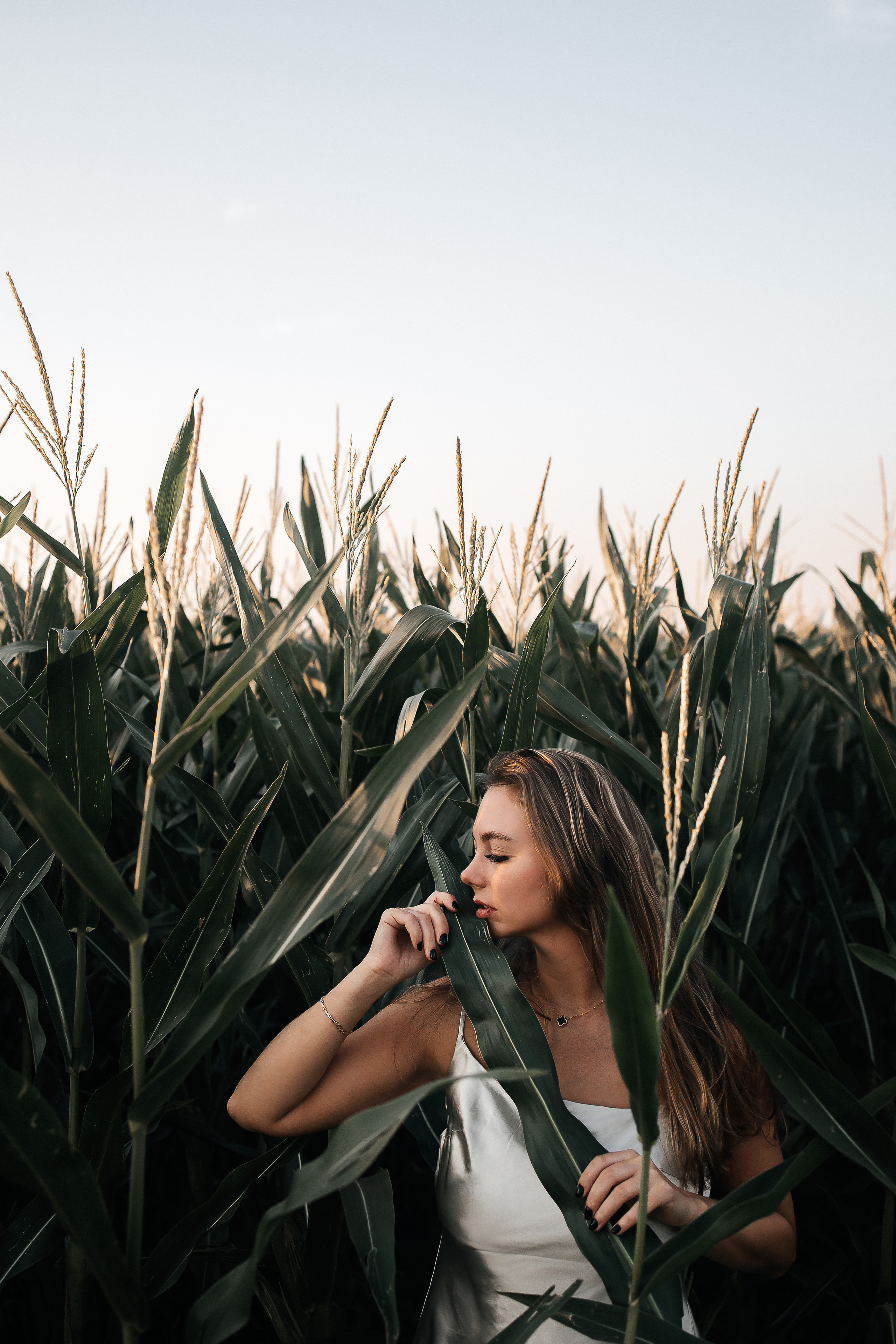 Съёмка в кукурузном поле. Семейный, свадебный и портретный фотограф в Саратове Мария Засыпкина
