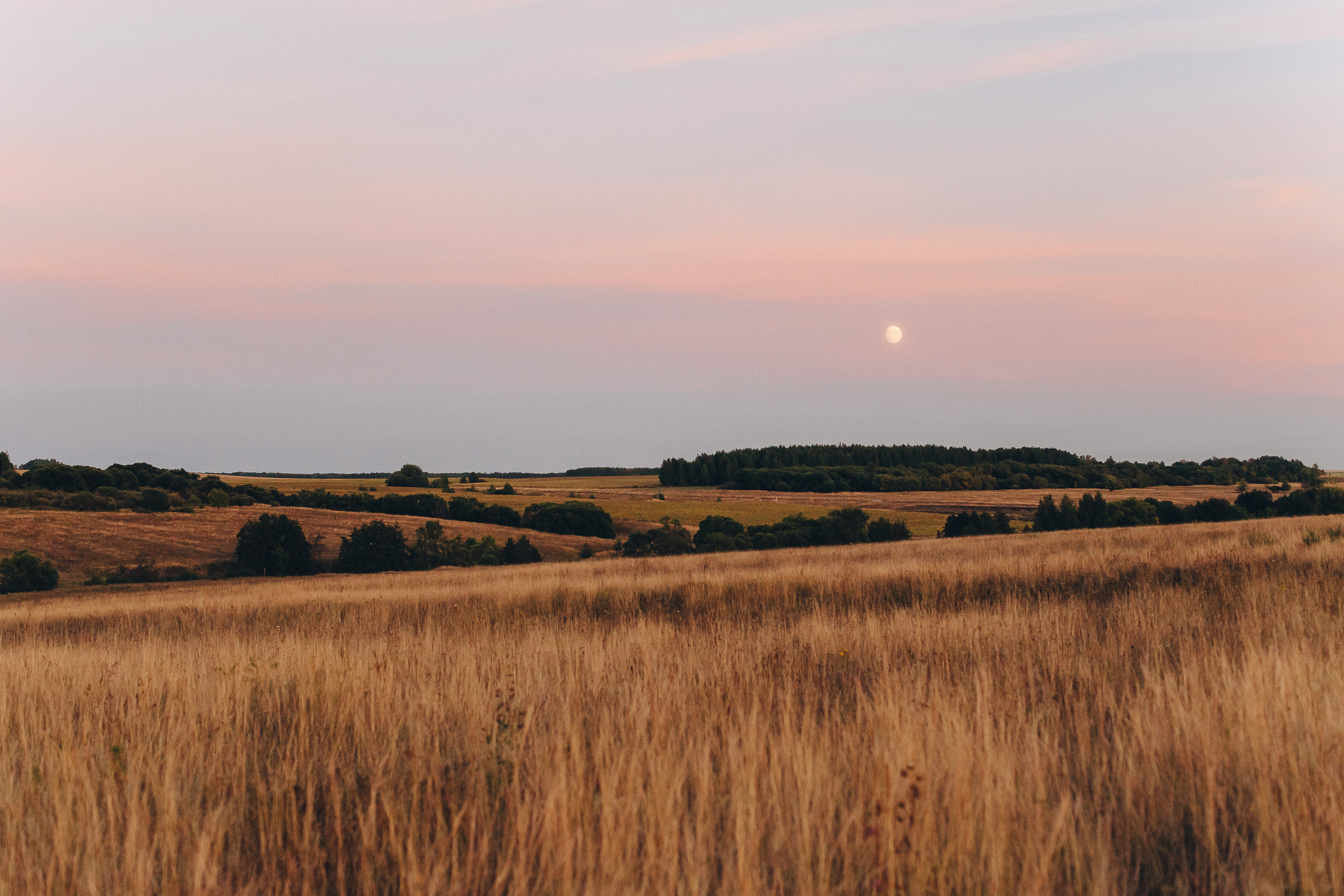 Пейзаж. Время ближе к закатному. Золотой час на фотографии. Деревня Леляевка