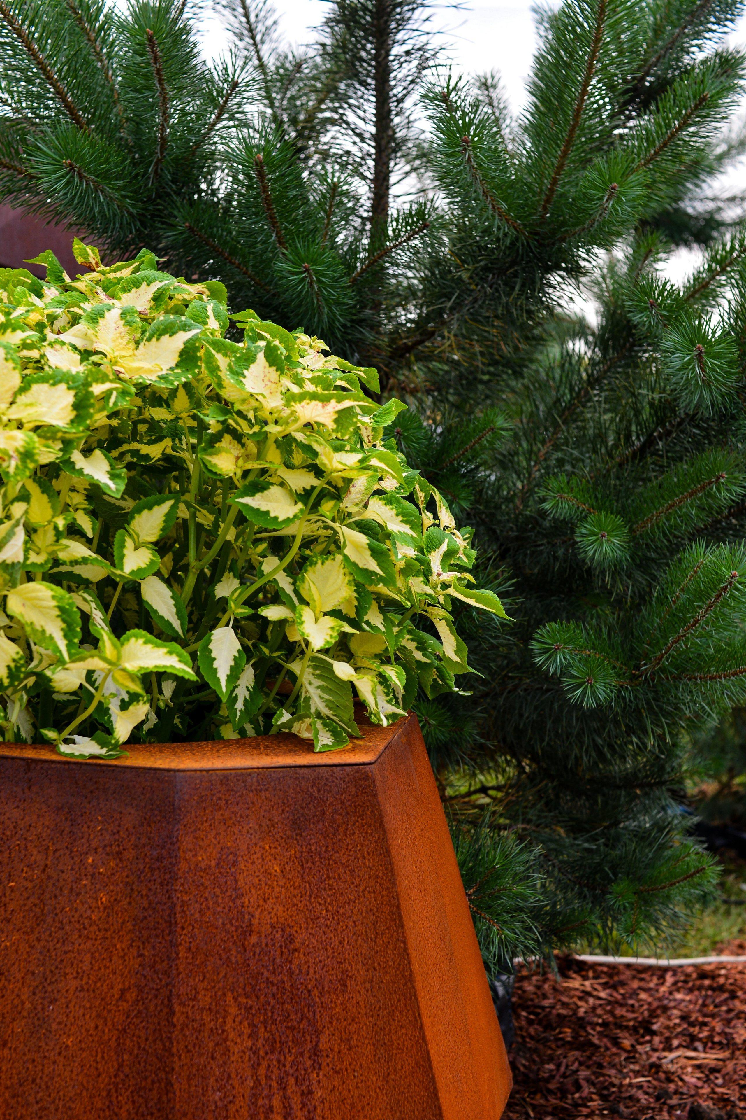 Ржавые фонтаны | OFYR. ОЧЕНЬ ПЛОХОЙ ФОТОГРАФ