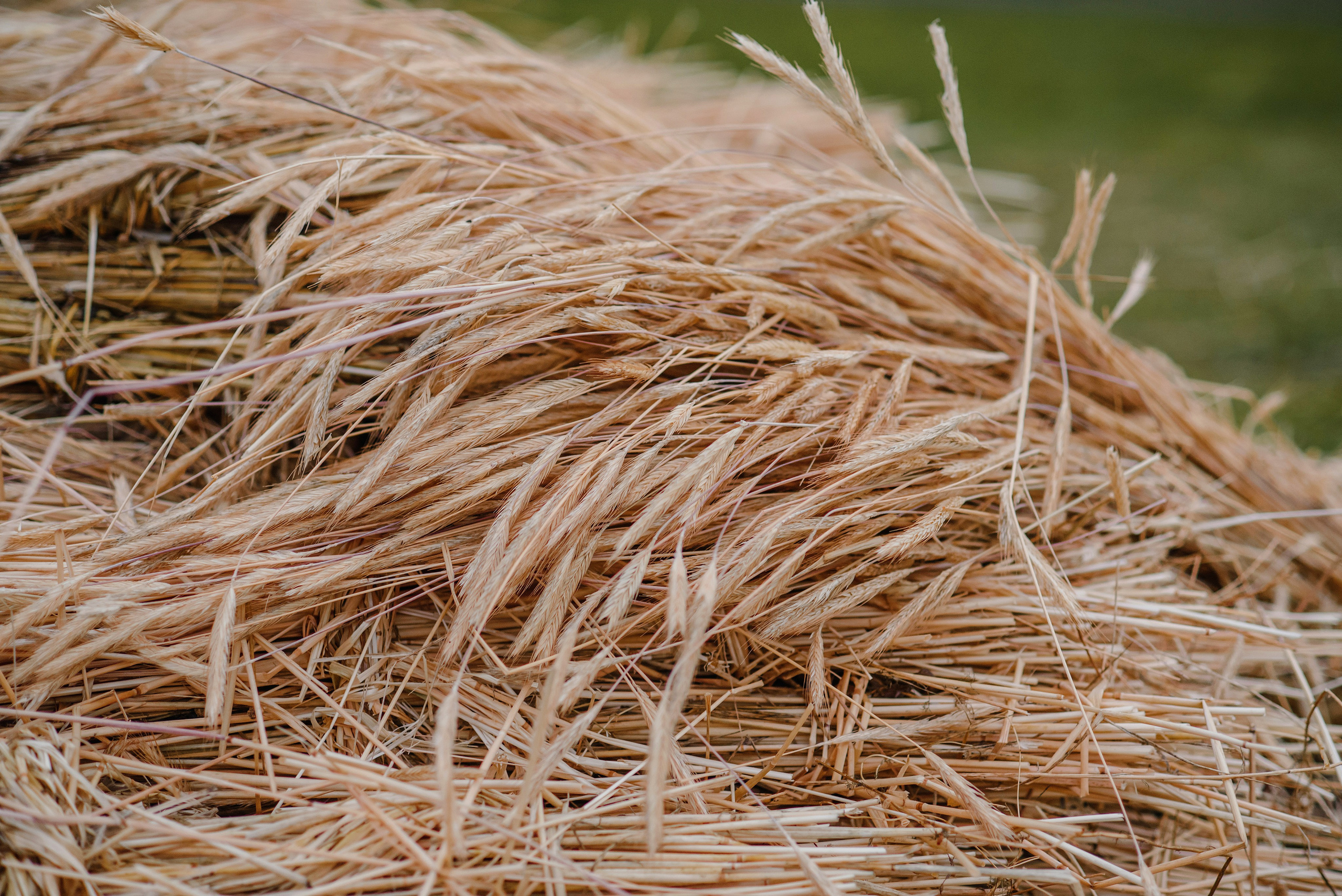 Имидж-тур ВодоходЪ. Репортажный фотограф Минина Ирина