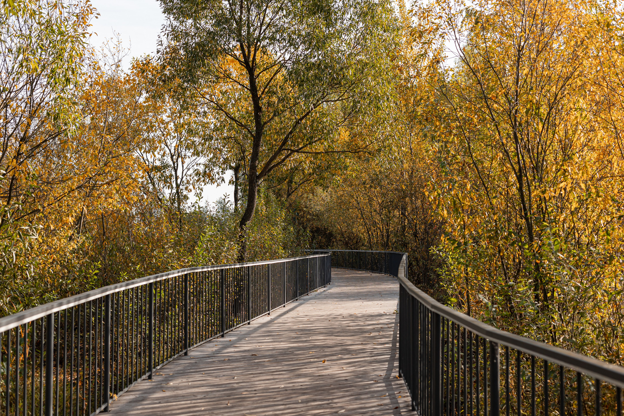 Общественные пространства. Наталья Летунова — интерьерный фотограф в Иванове