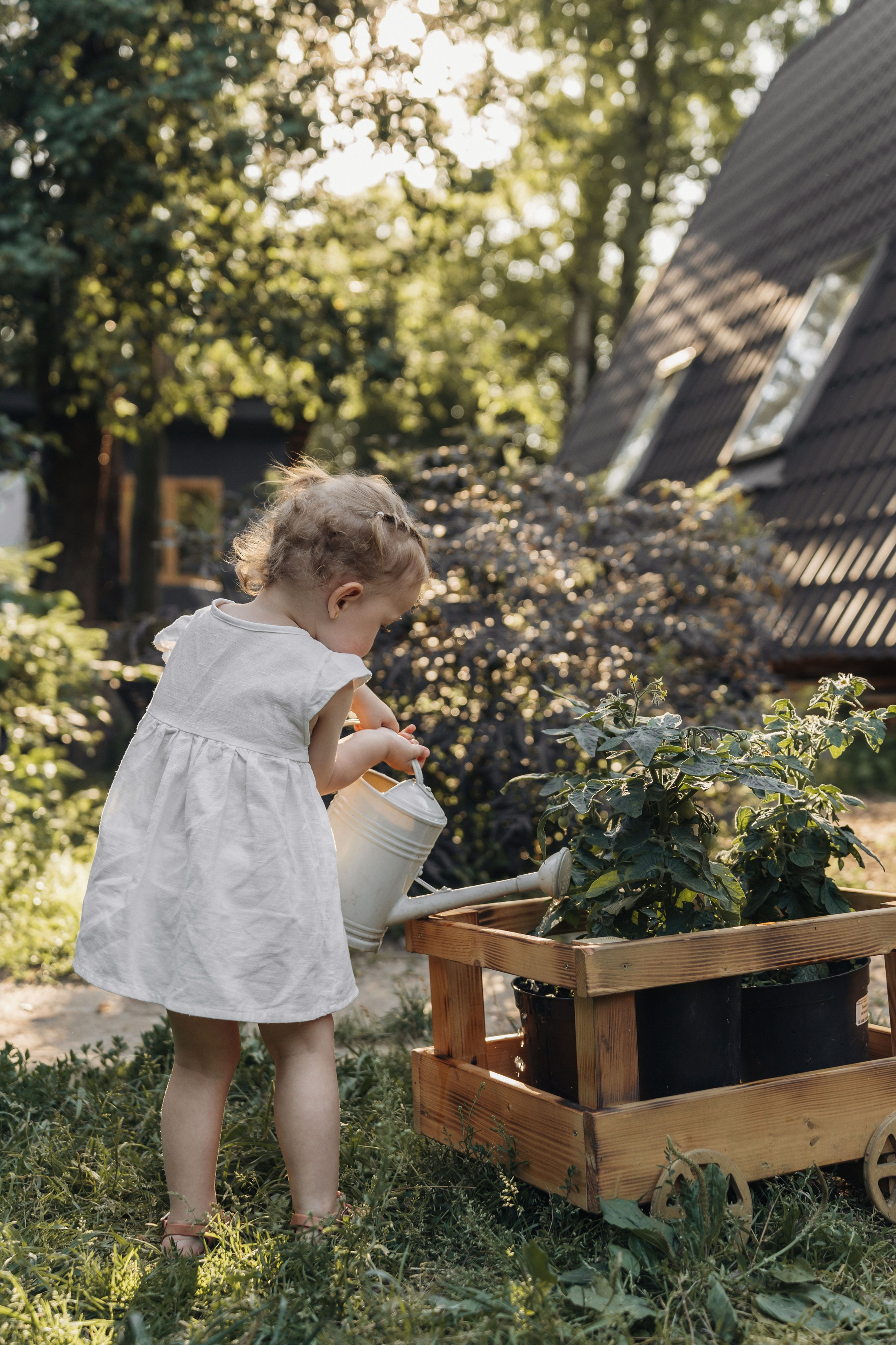 Лето в деревне. Ваш фотограф Вика Артемова