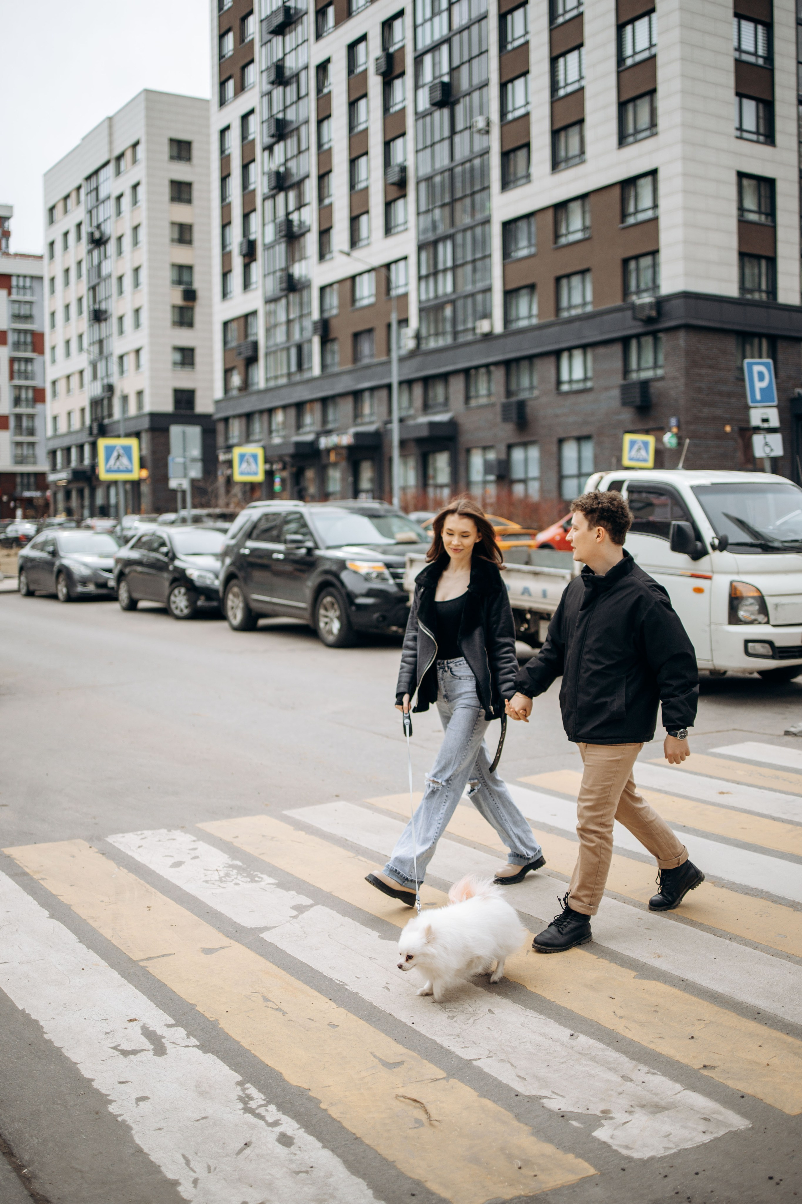 Шпиц Мася и ее семья