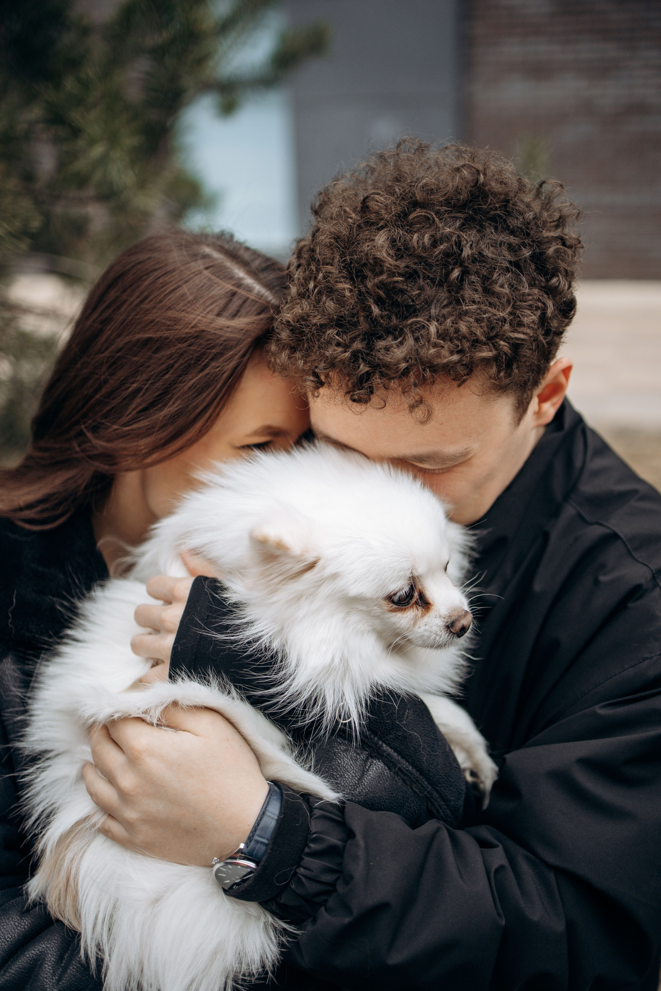 Шпиц Мася и ее семья