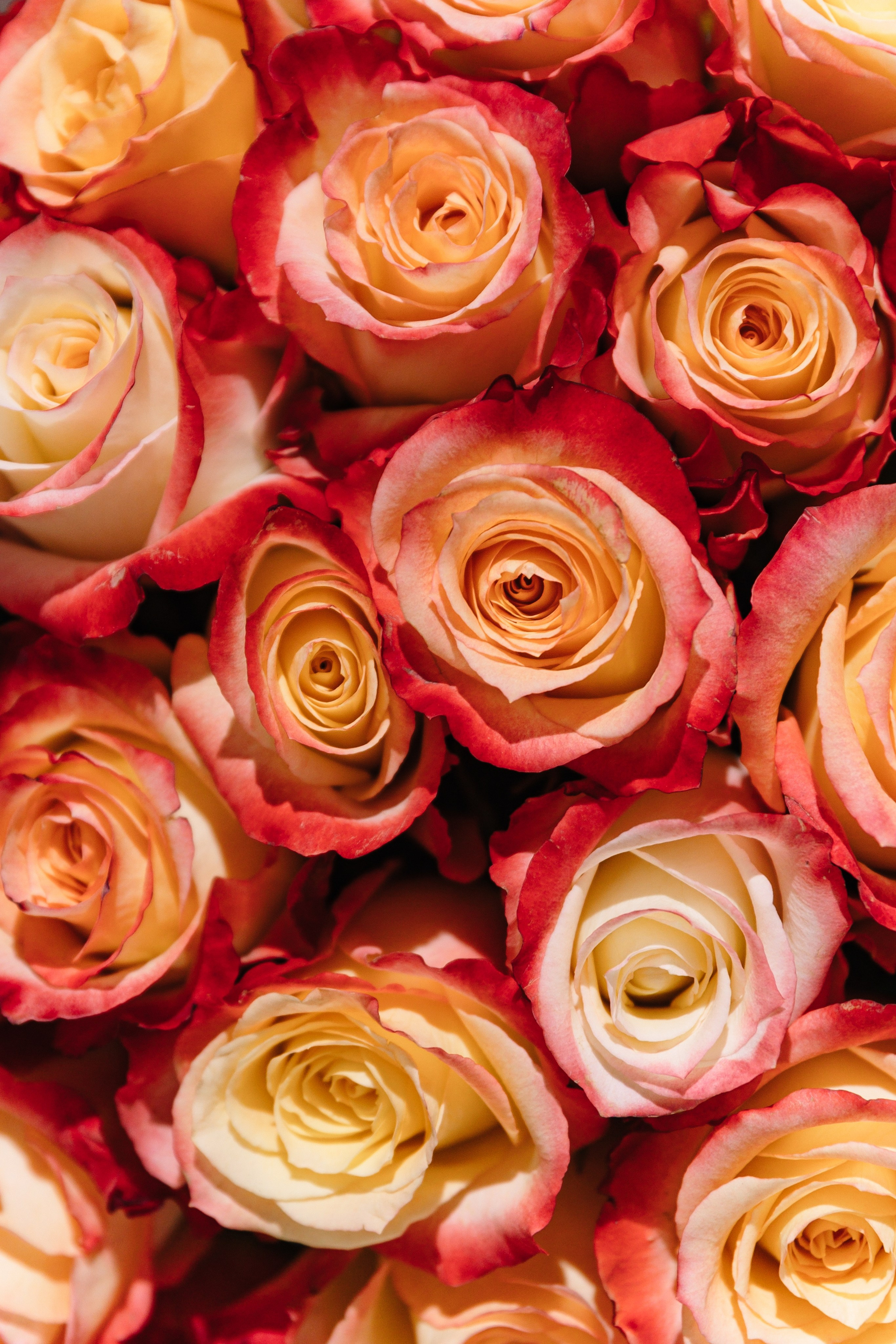 T & M. Свадебный и семейный фотограф в Красноярске Абраменко Настя