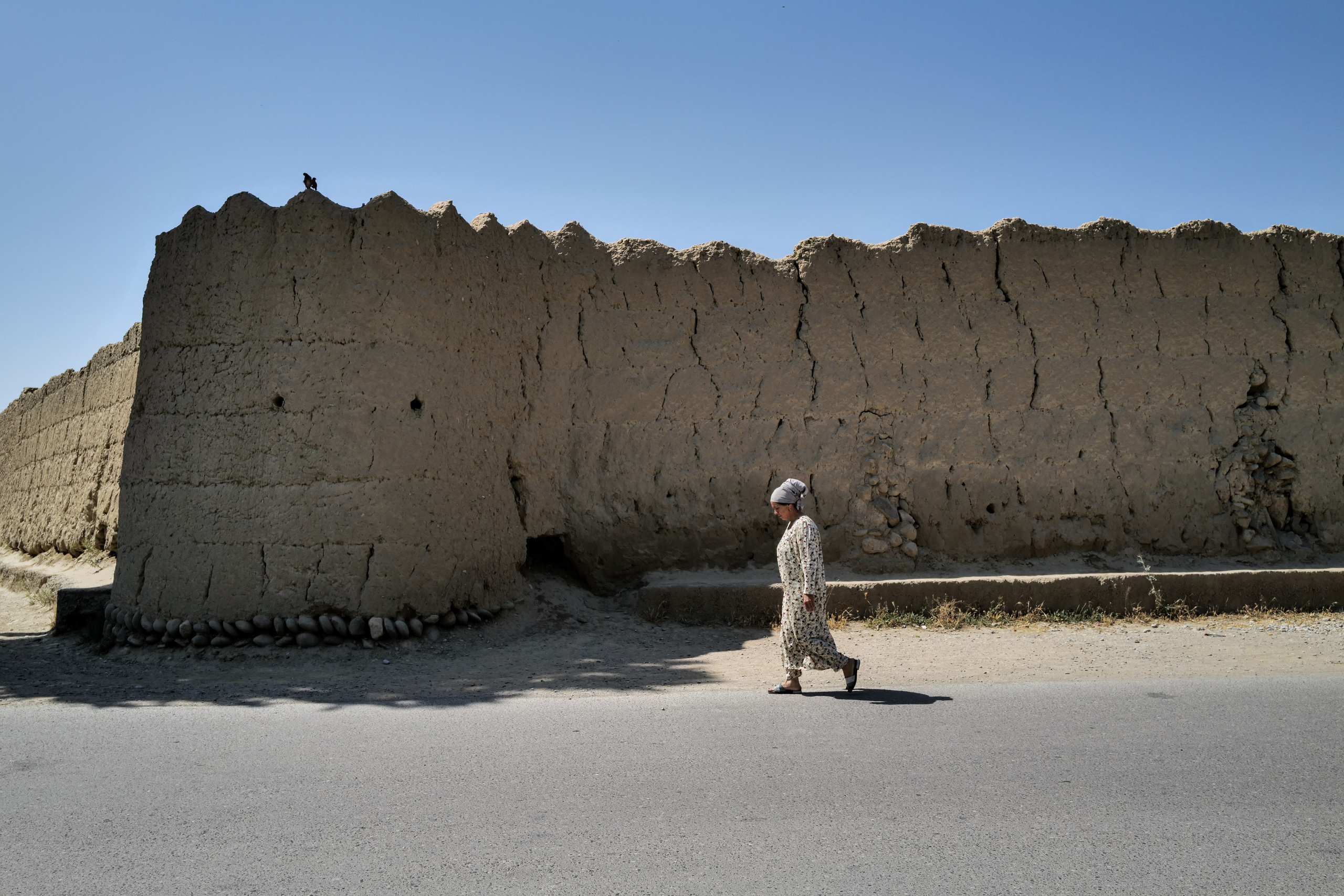 Старинная крепостная стена. Согдийская область, Таджикистан. Июнь 2024 года