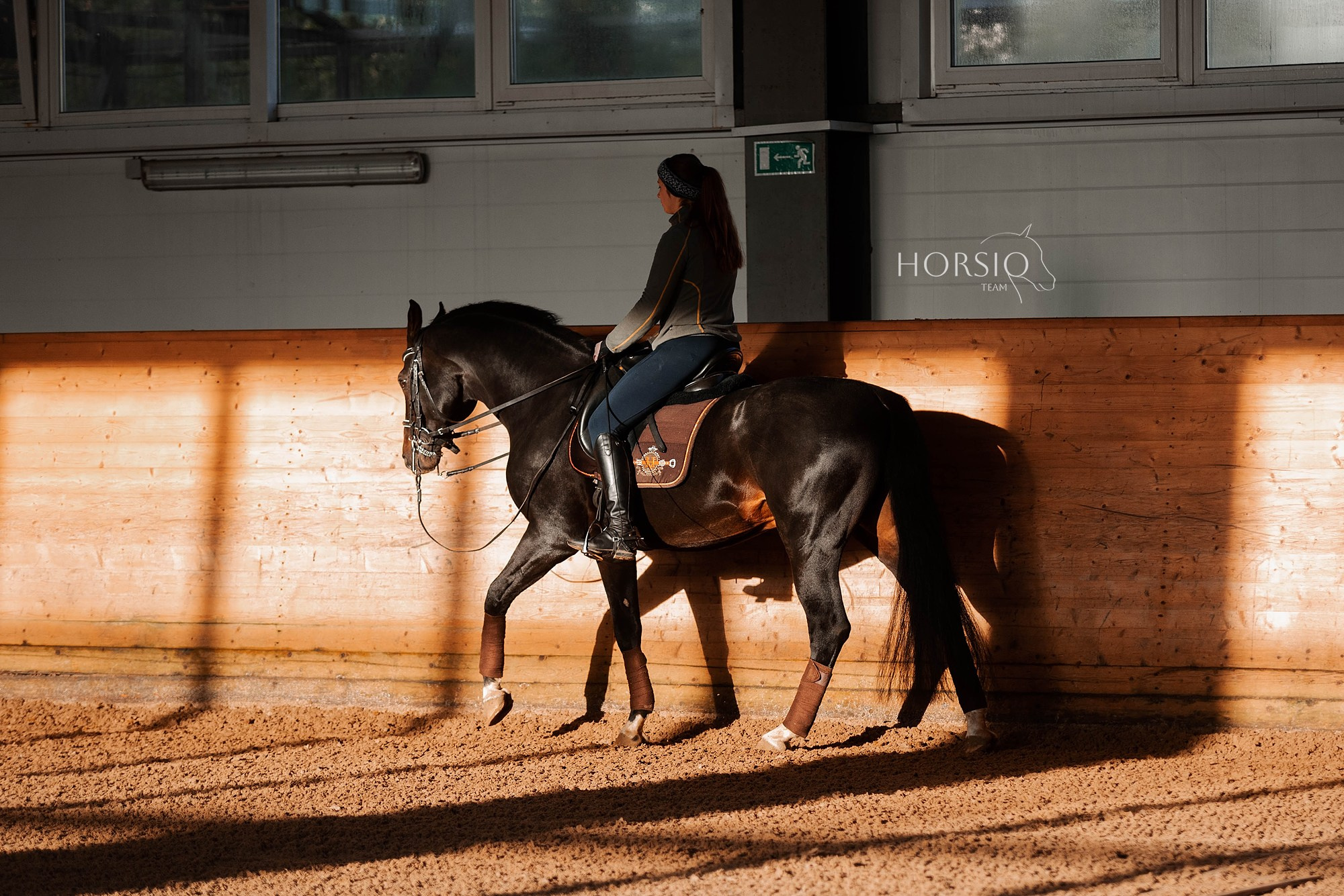 HORSIO тренировка. Конный фотограф Куракина Дарья • Фотосессии с лошадьми