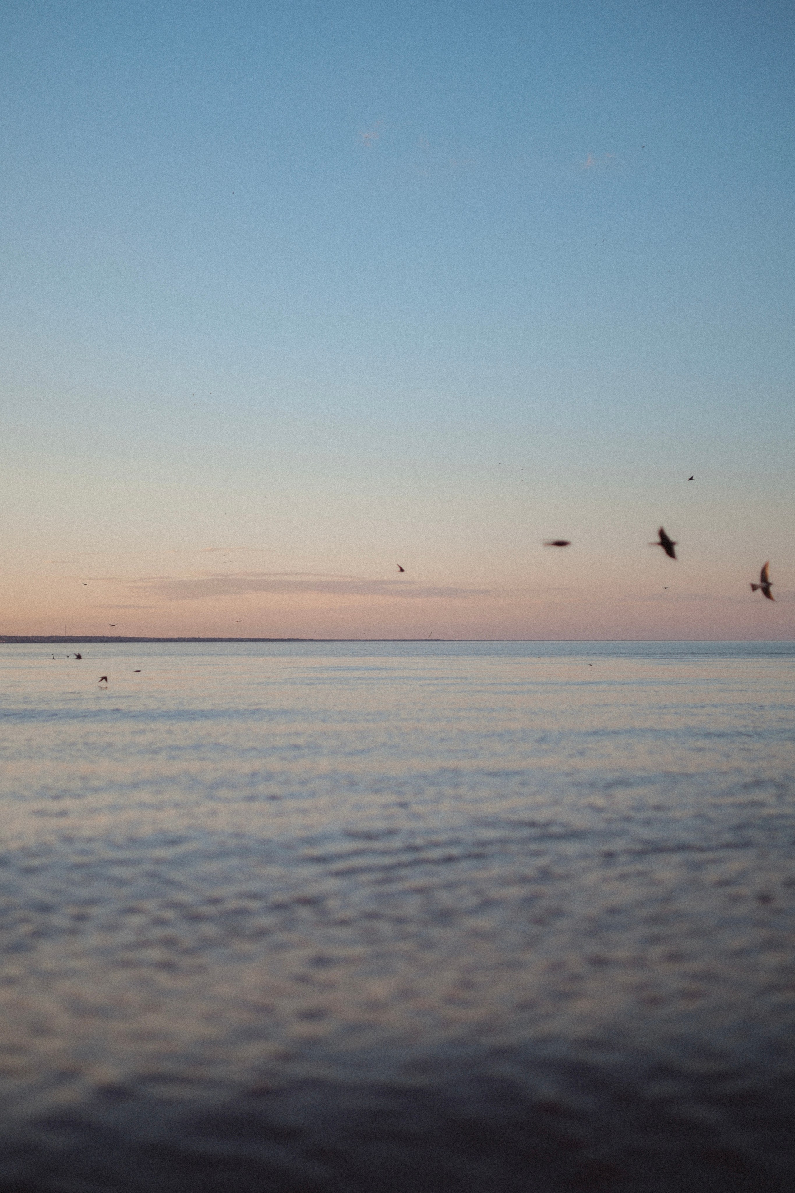Виктория. Фотограф Елизавета Наумова