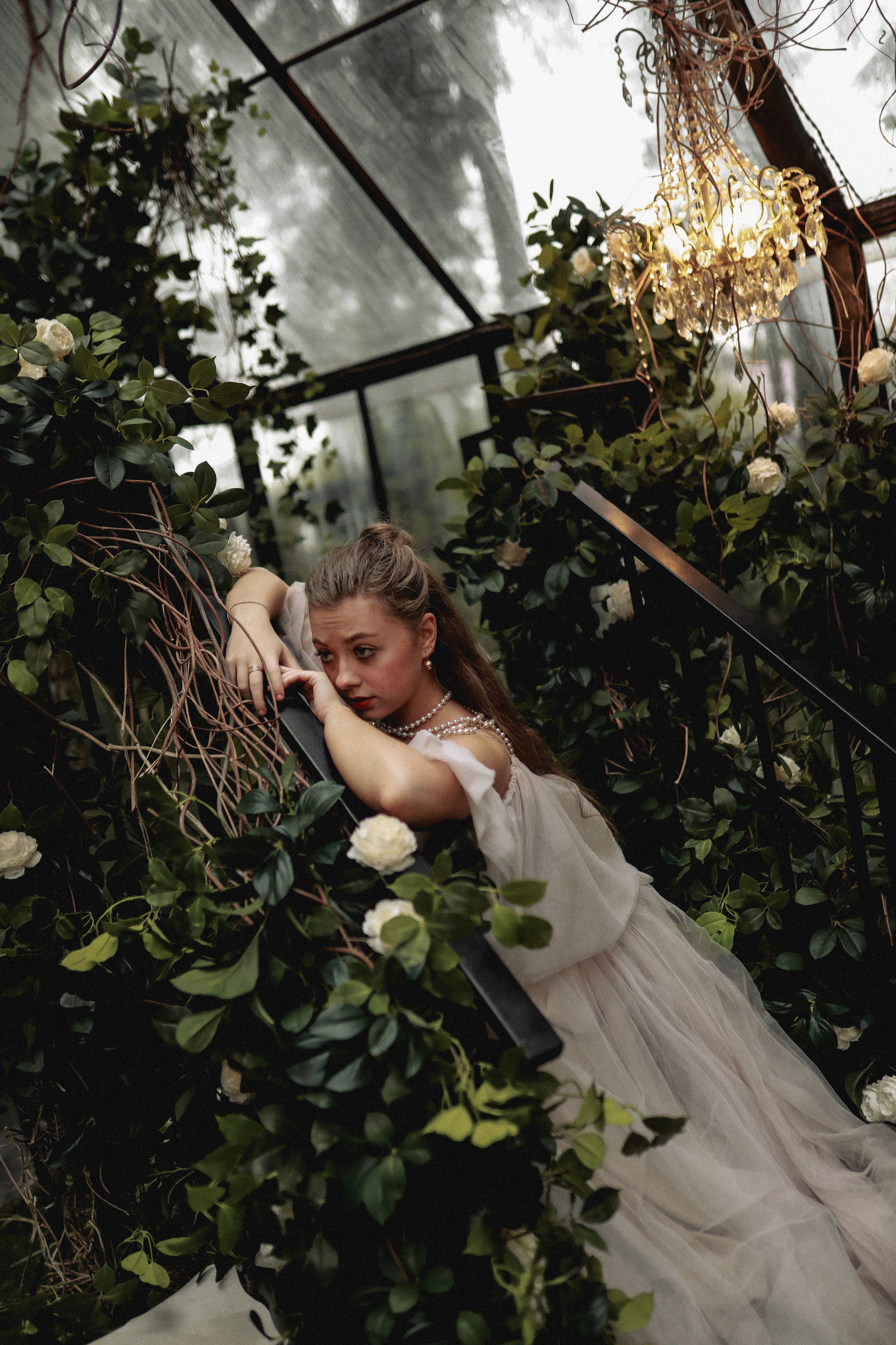 Зачарованный лес